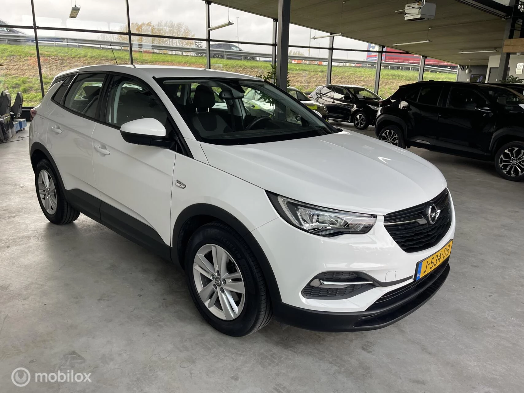 Hoofdafbeelding Opel Grandland X