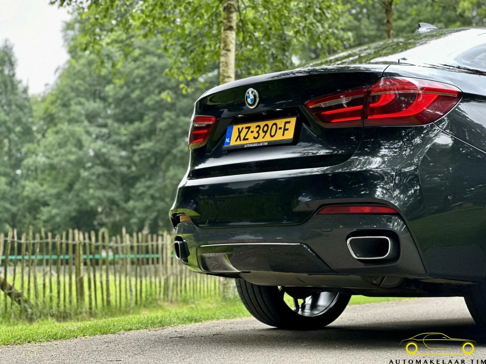 Hoofdafbeelding BMW X6