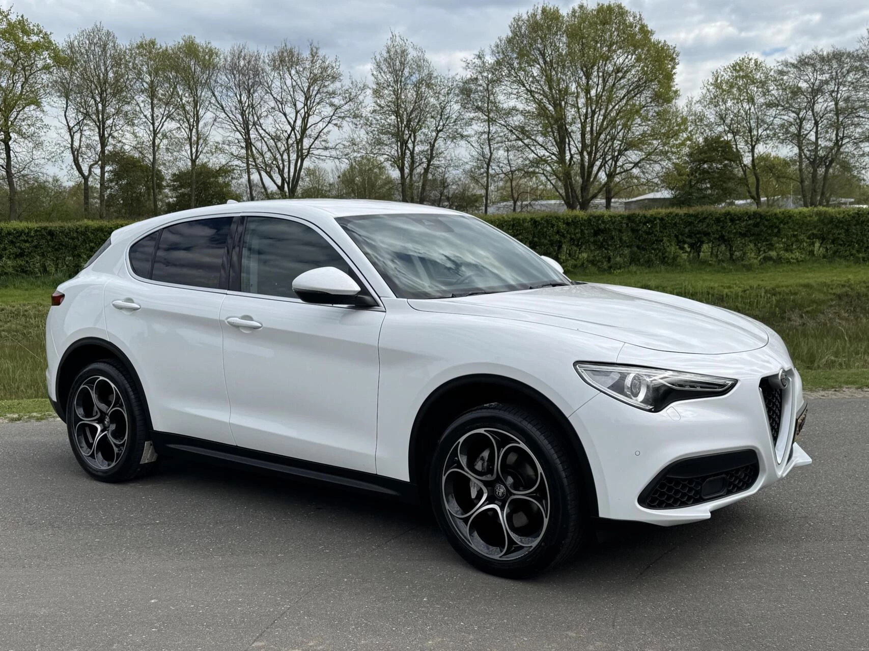 Hoofdafbeelding Alfa Romeo Stelvio