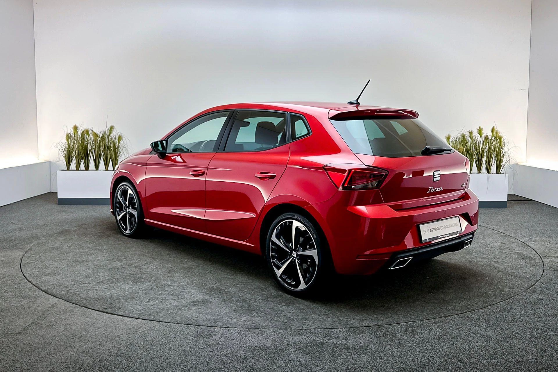 Hoofdafbeelding SEAT Ibiza