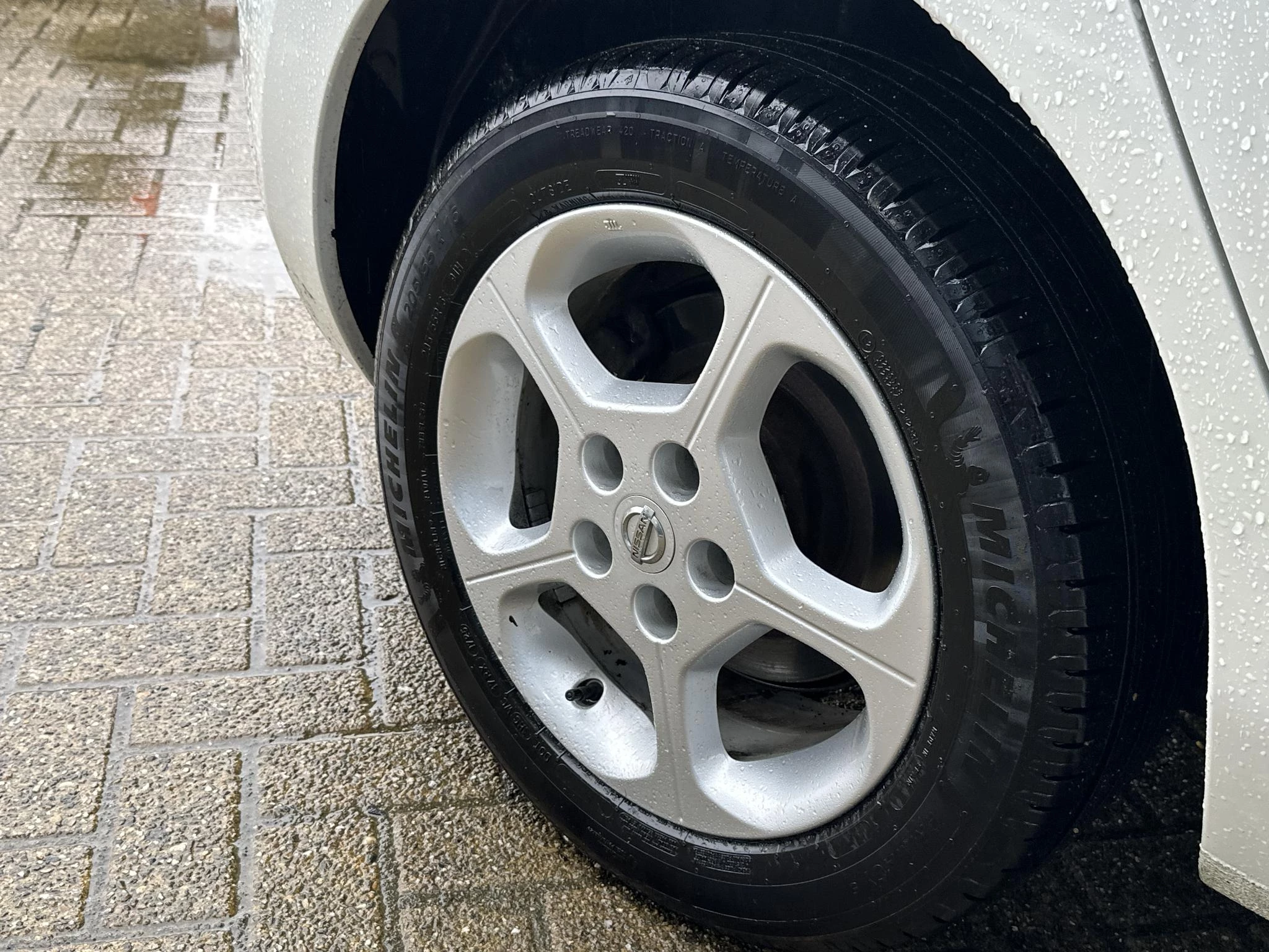 Hoofdafbeelding Nissan Leaf