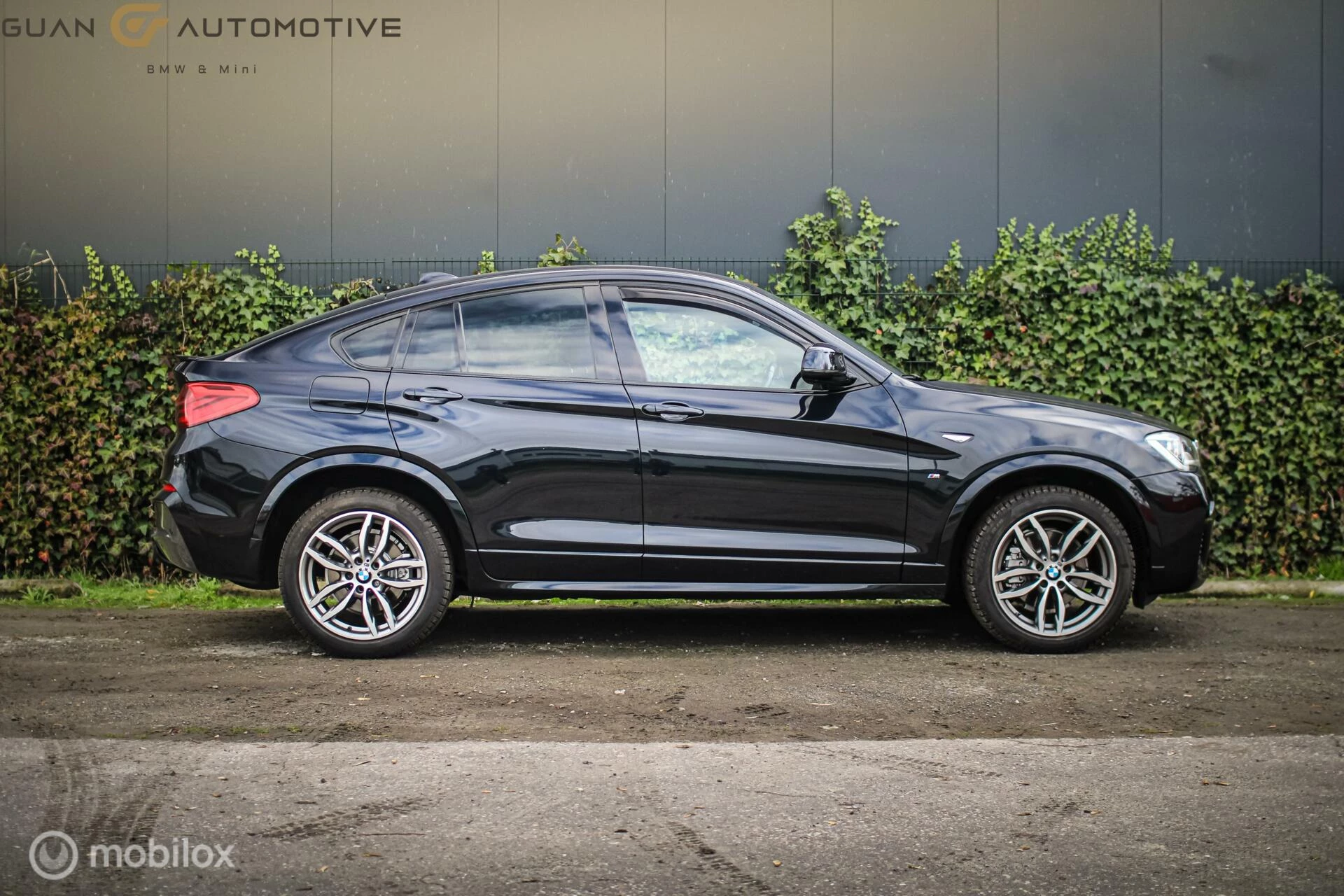 Hoofdafbeelding BMW X4