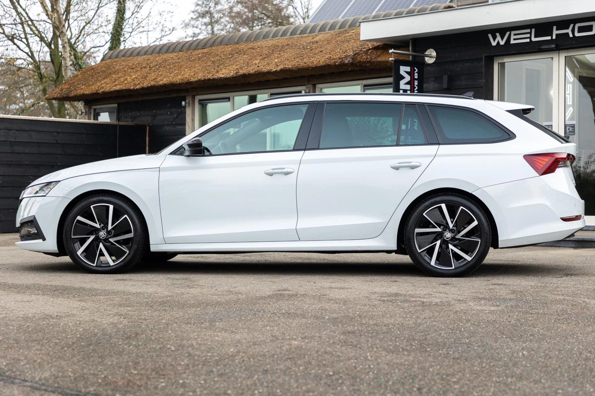 Hoofdafbeelding Škoda Octavia