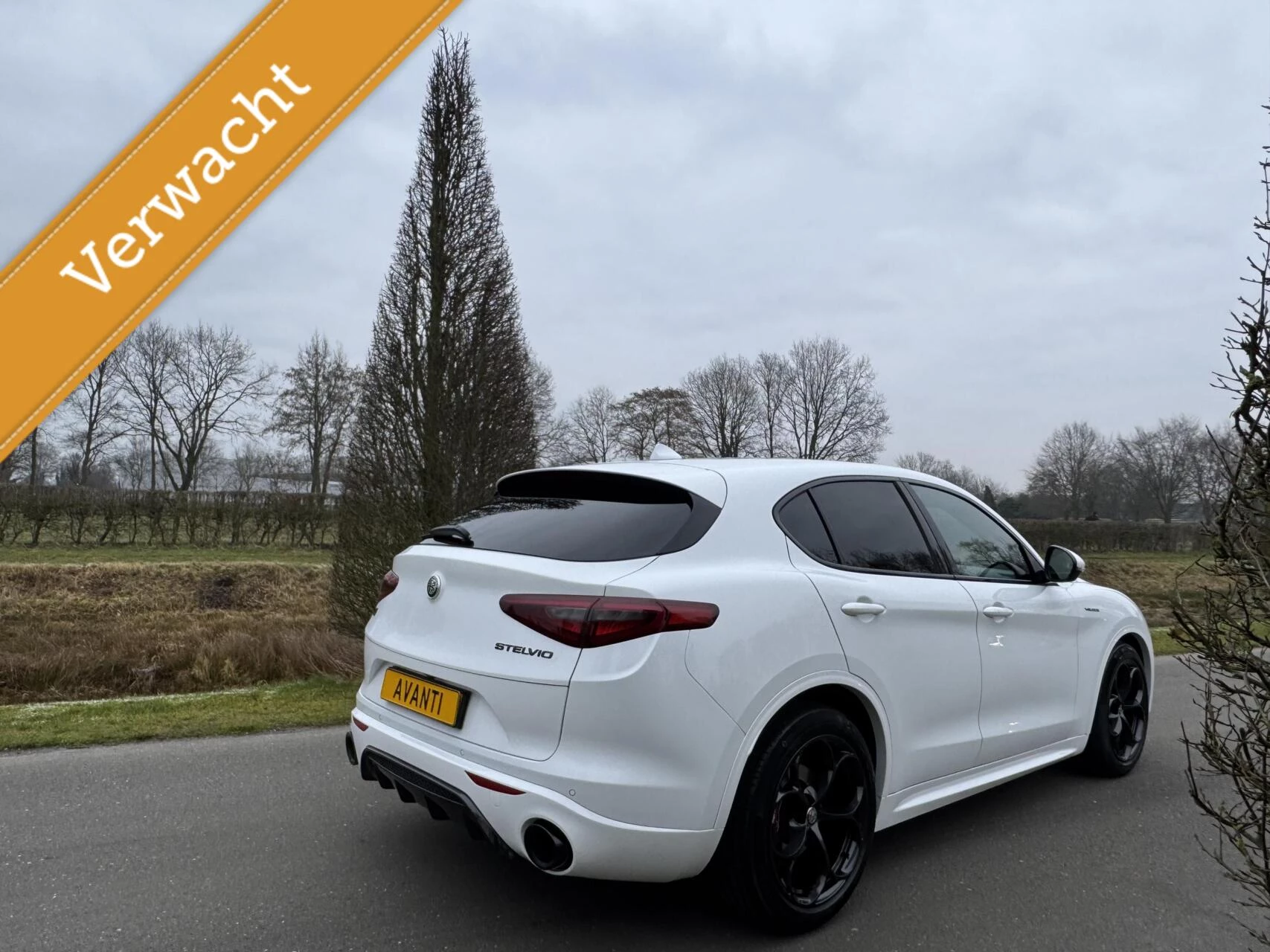 Hoofdafbeelding Alfa Romeo Stelvio
