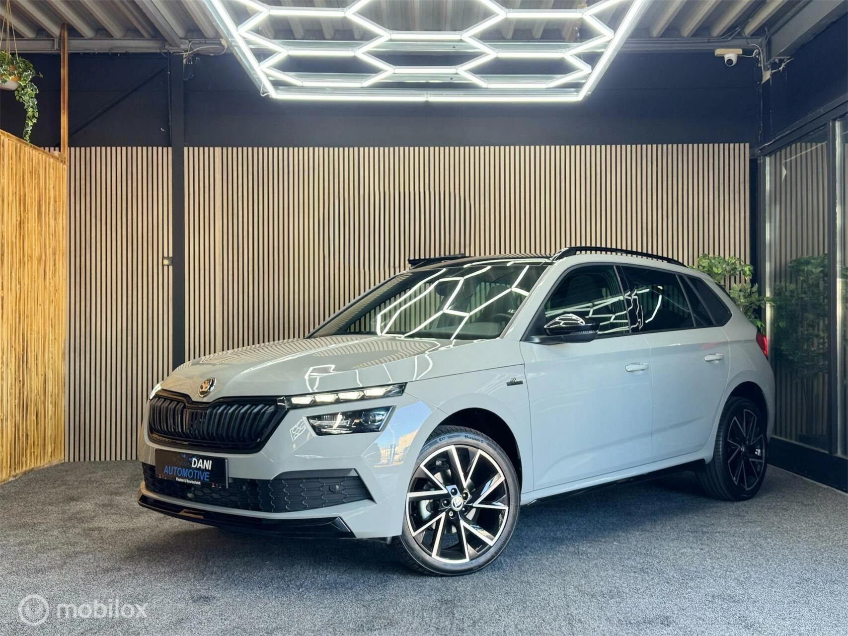 Hoofdafbeelding Škoda Kamiq