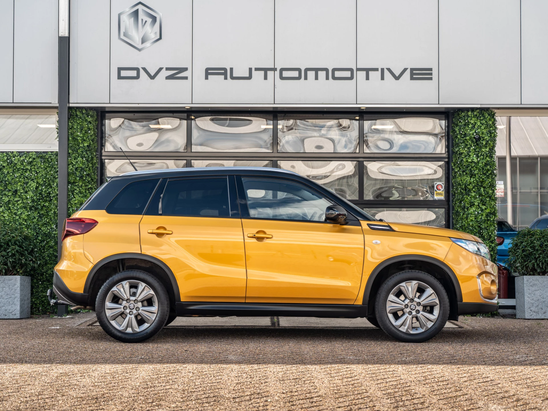 Hoofdafbeelding Suzuki Vitara
