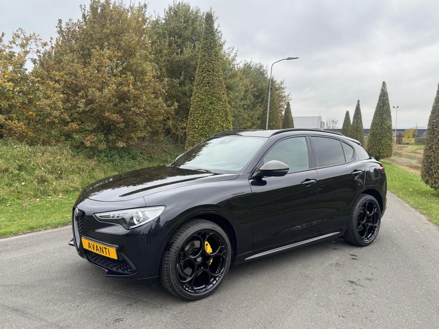 Hoofdafbeelding Alfa Romeo Stelvio