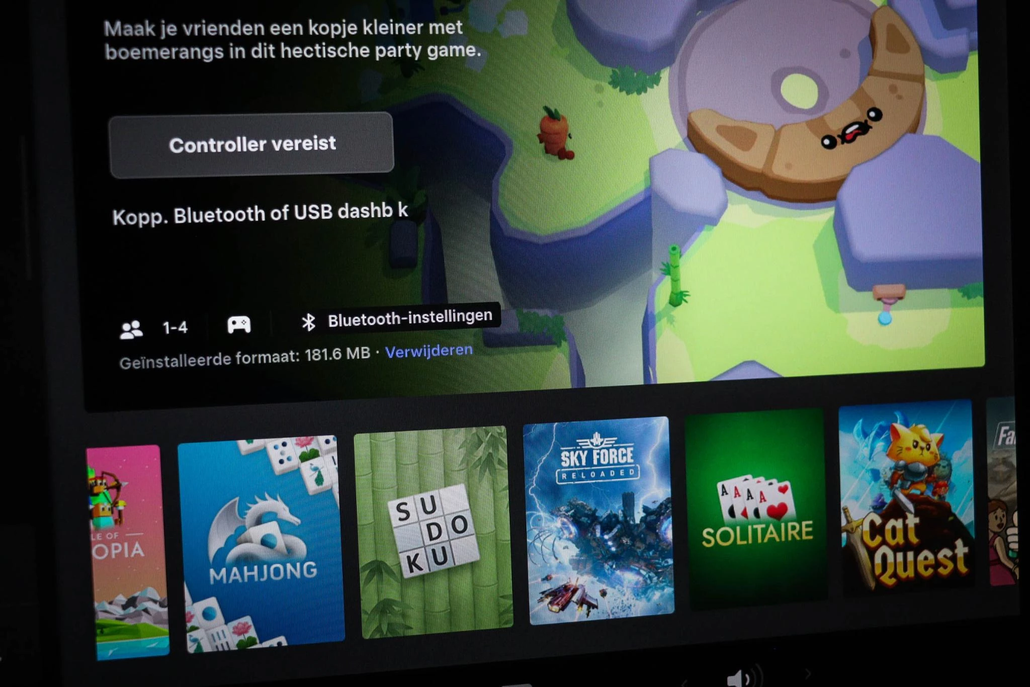 Hoofdafbeelding Tesla Model Y