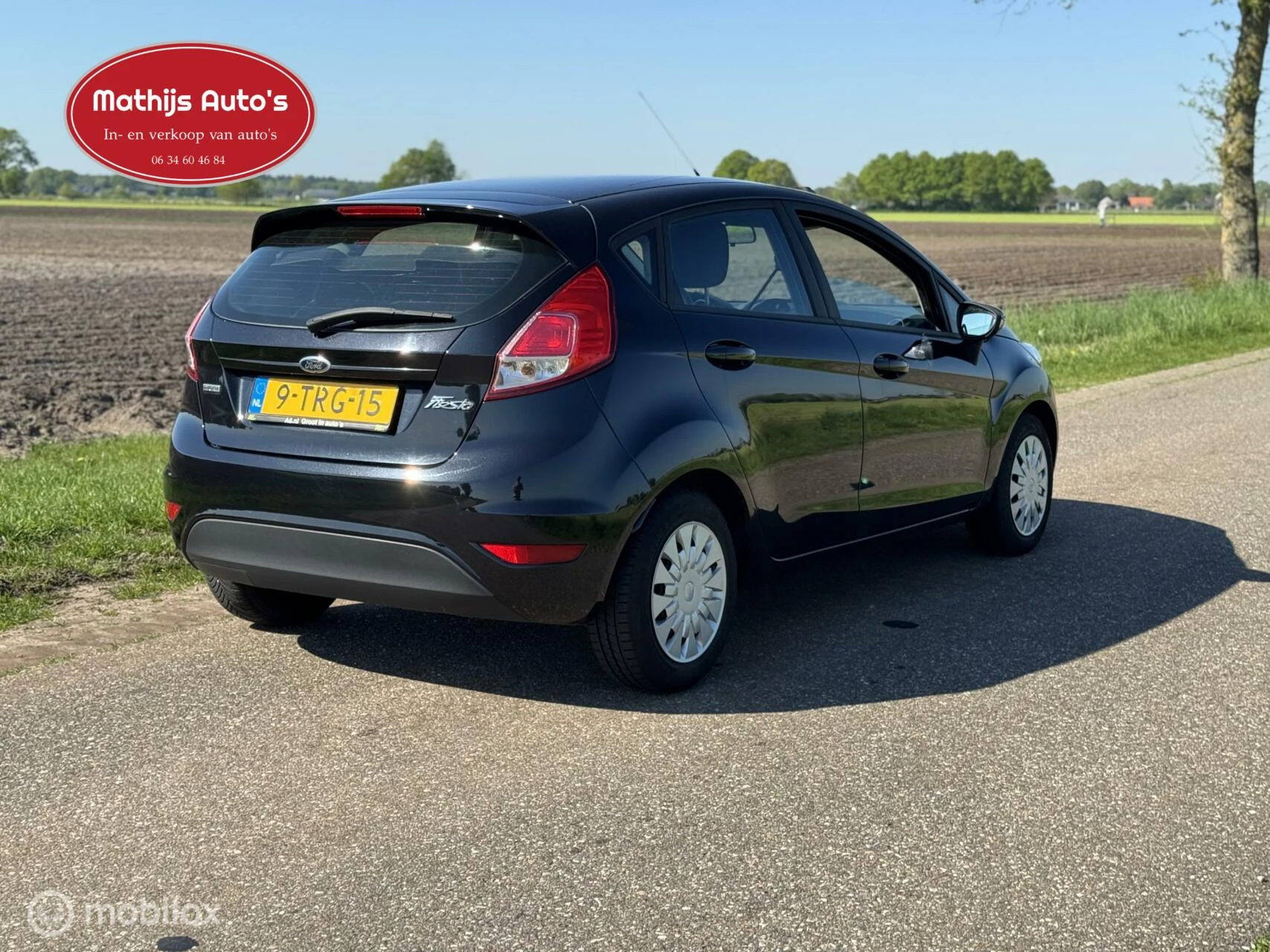 Hoofdafbeelding Ford Fiesta