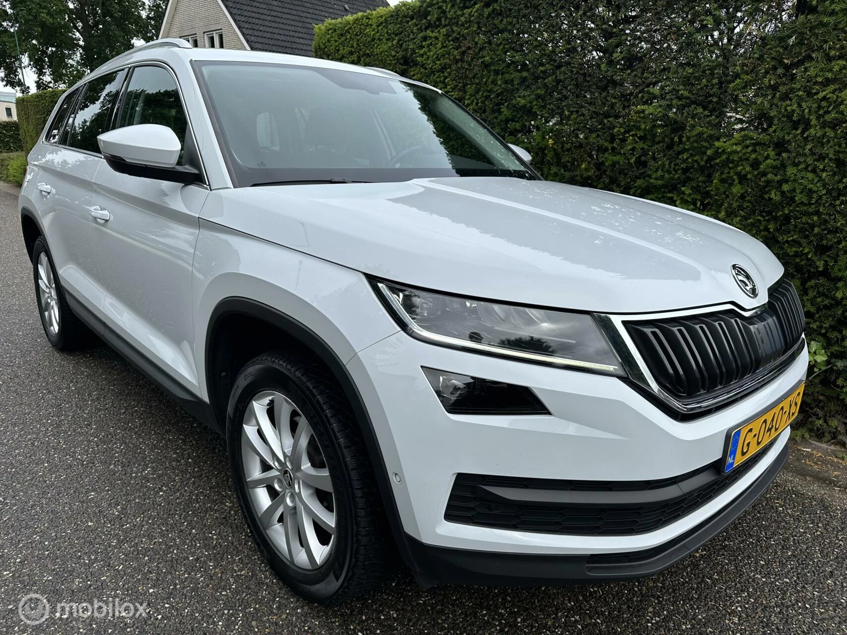 Hoofdafbeelding Škoda Kodiaq