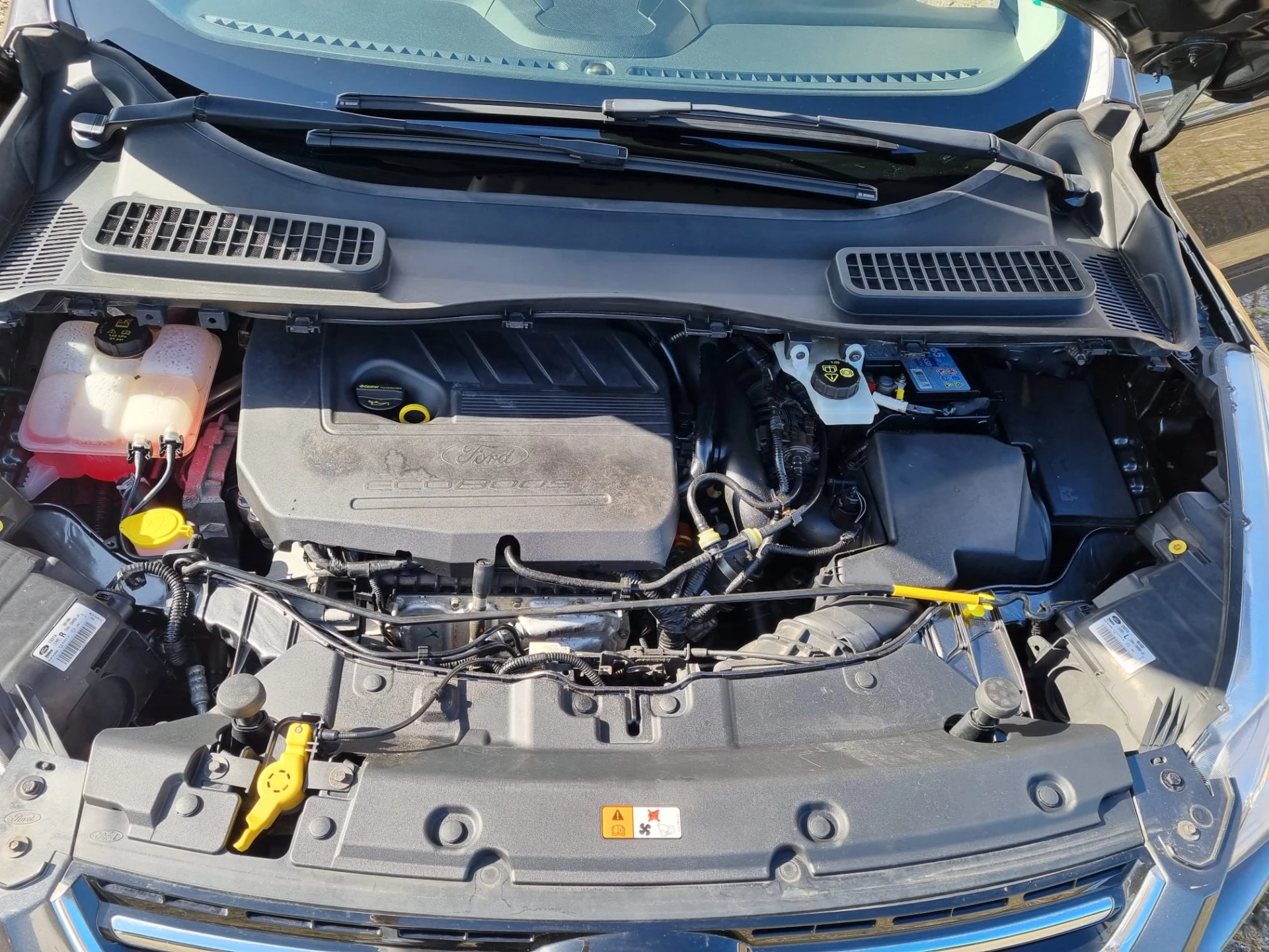 Hoofdafbeelding Ford Kuga