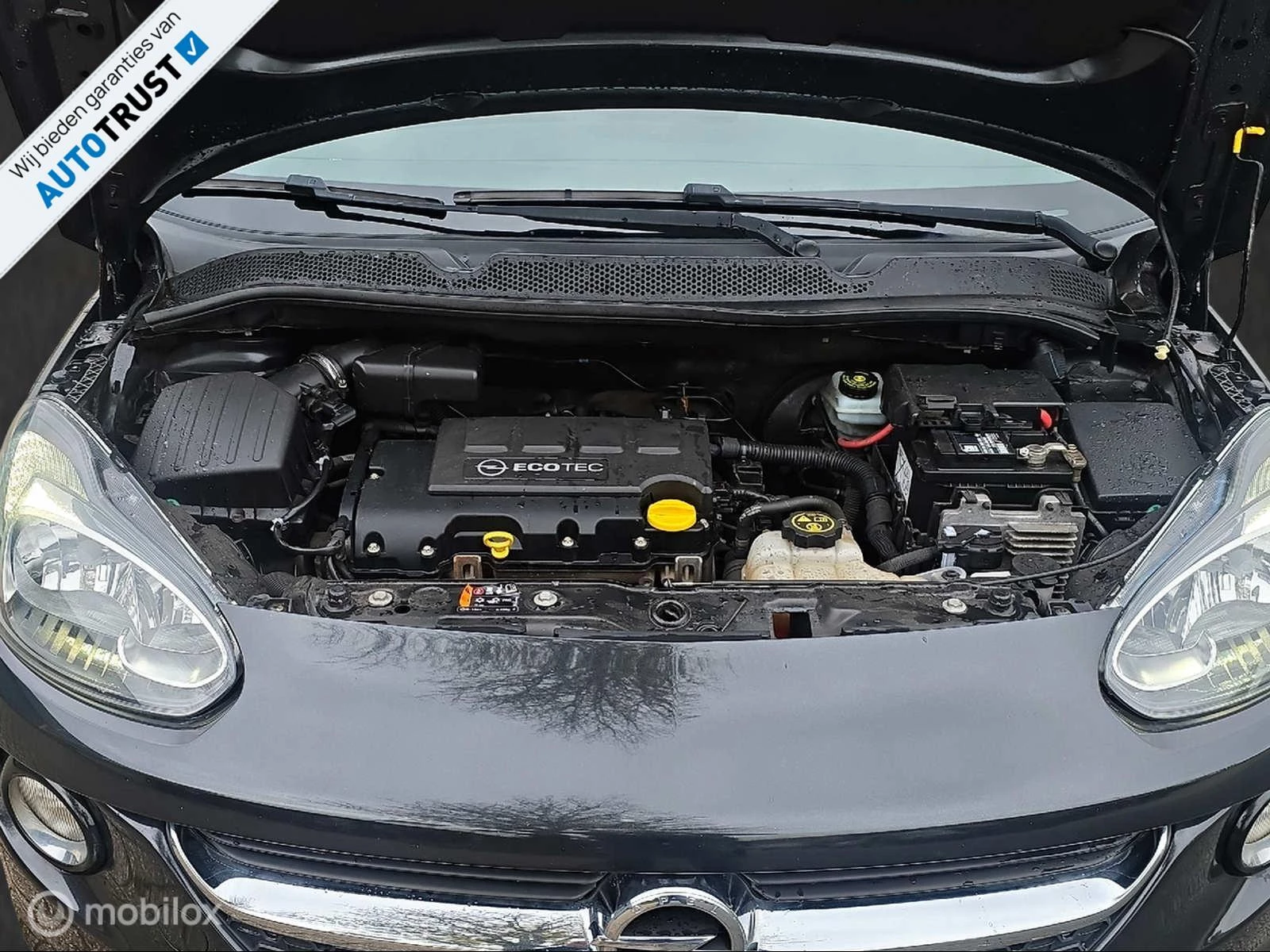 Hoofdafbeelding Opel ADAM