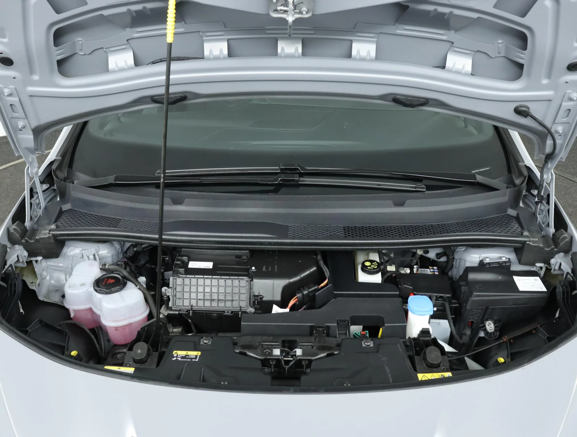 Hoofdafbeelding CUPRA Born