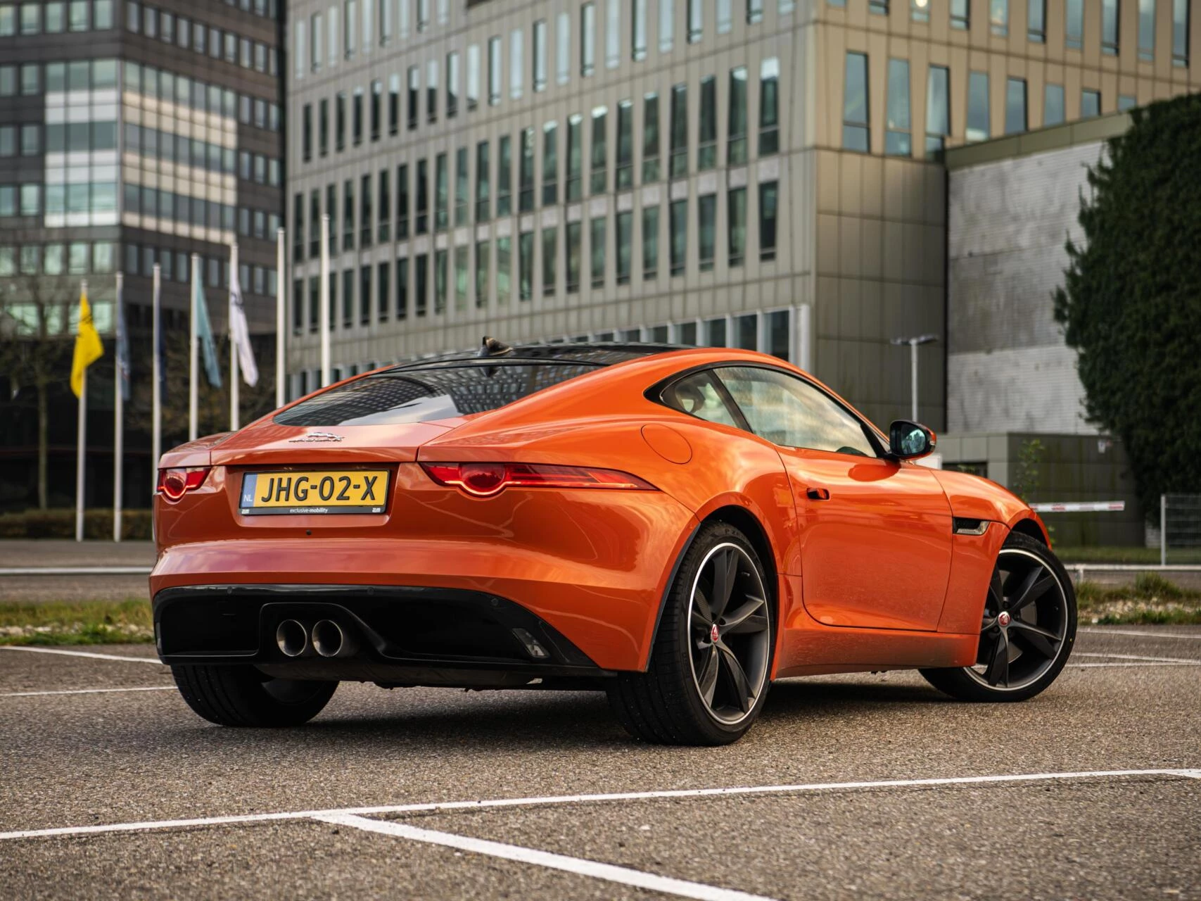 Hoofdafbeelding Jaguar F-Type