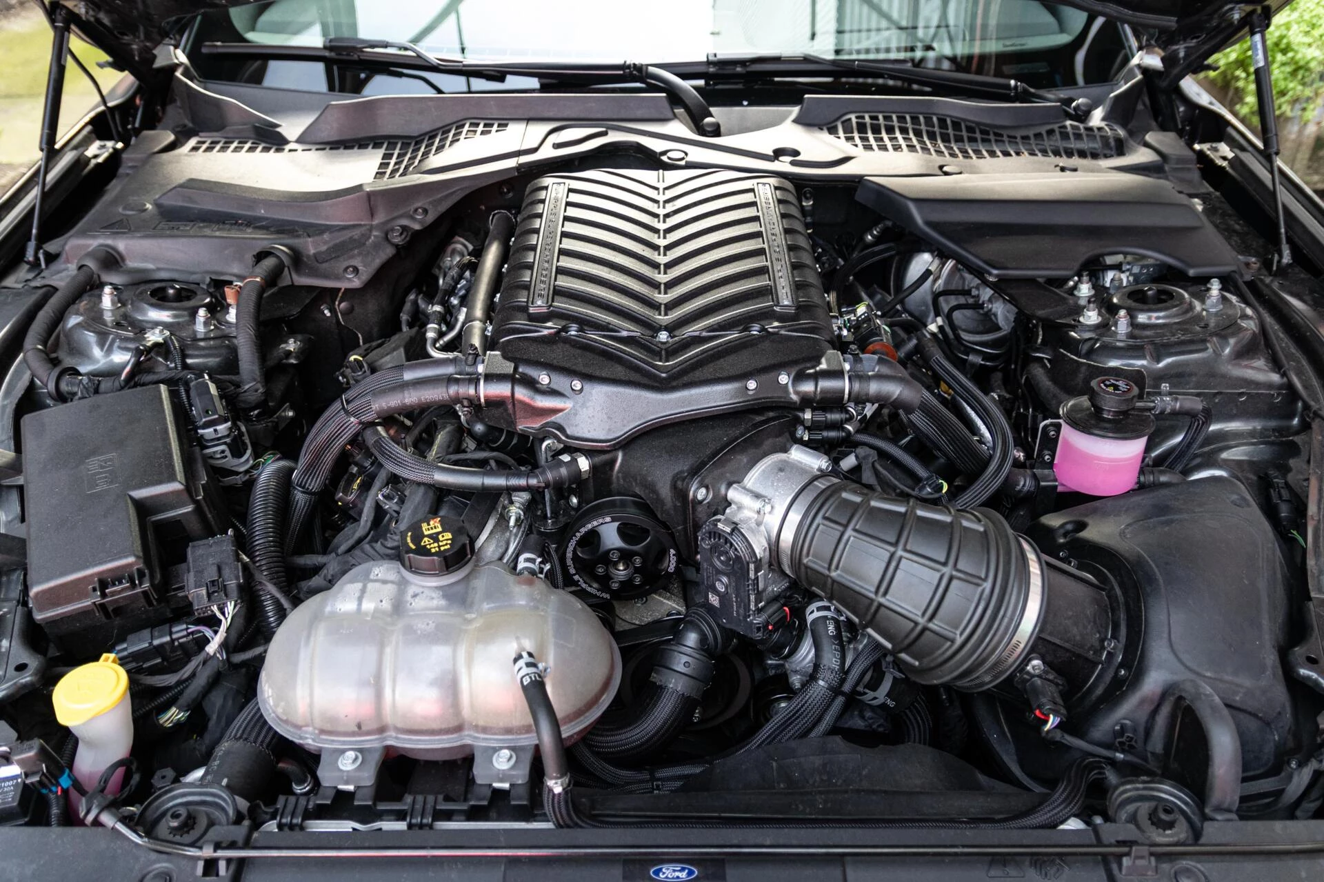 Hoofdafbeelding Ford Mustang