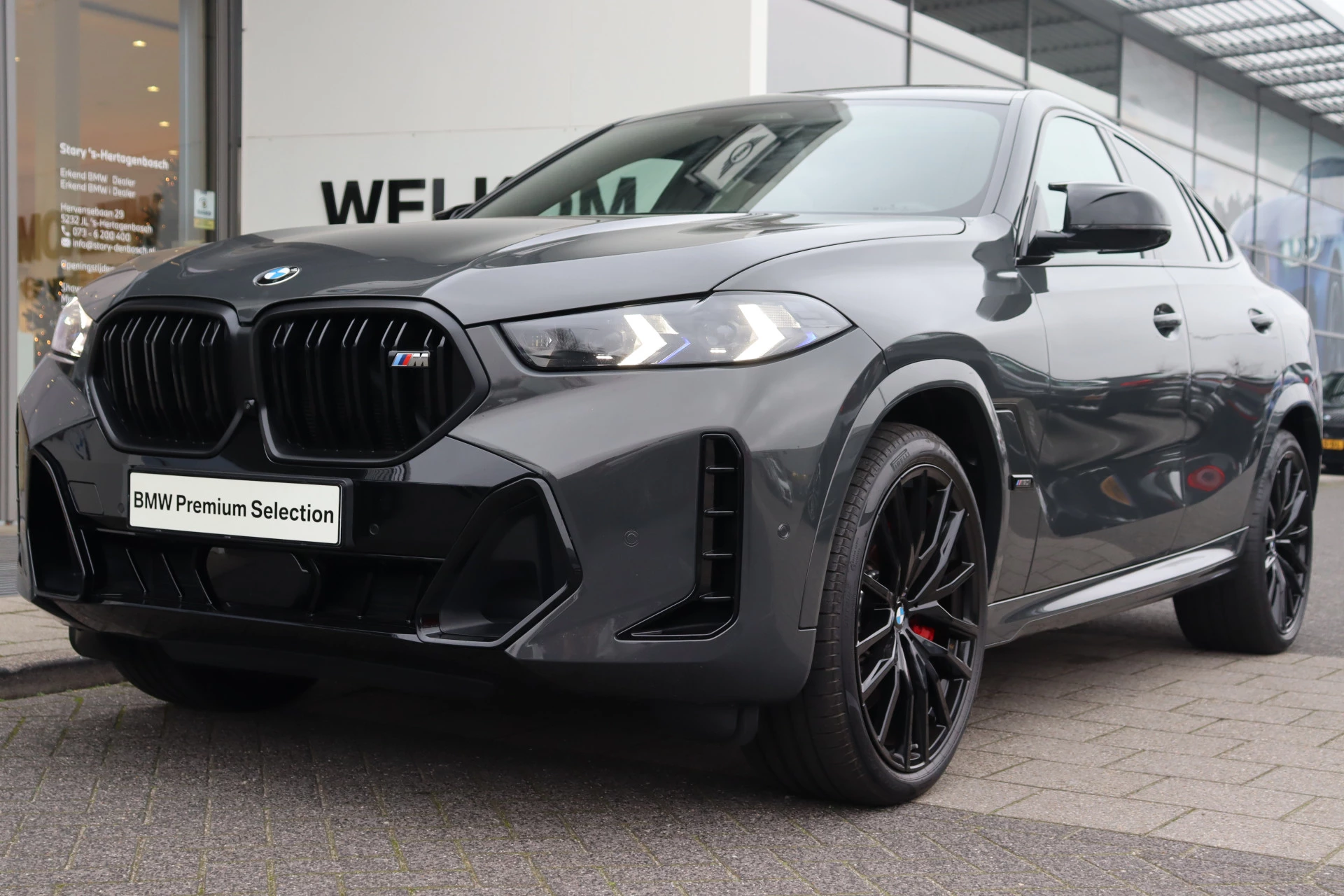 Hoofdafbeelding BMW X6