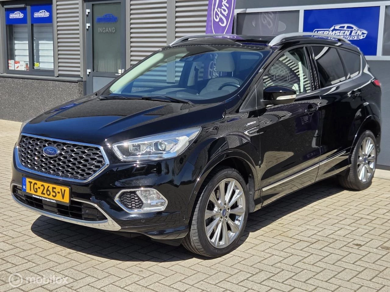 Hoofdafbeelding Ford Kuga