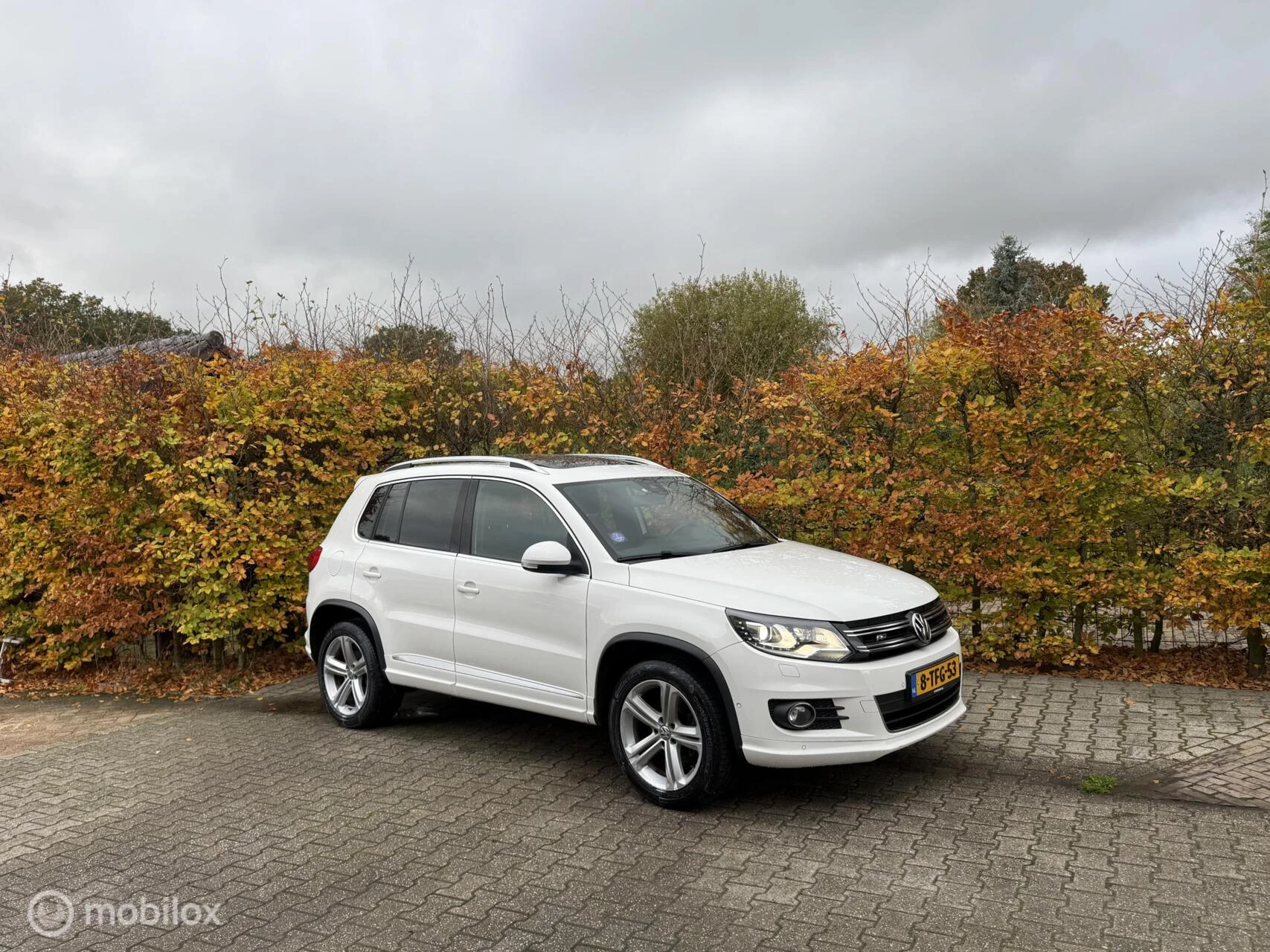 Hoofdafbeelding Volkswagen Tiguan