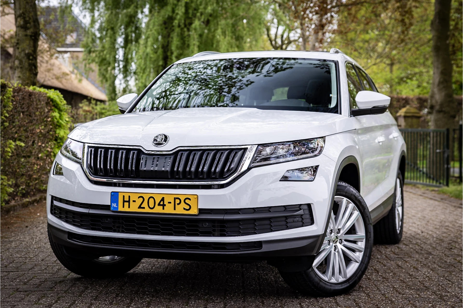 Hoofdafbeelding Škoda Kodiaq