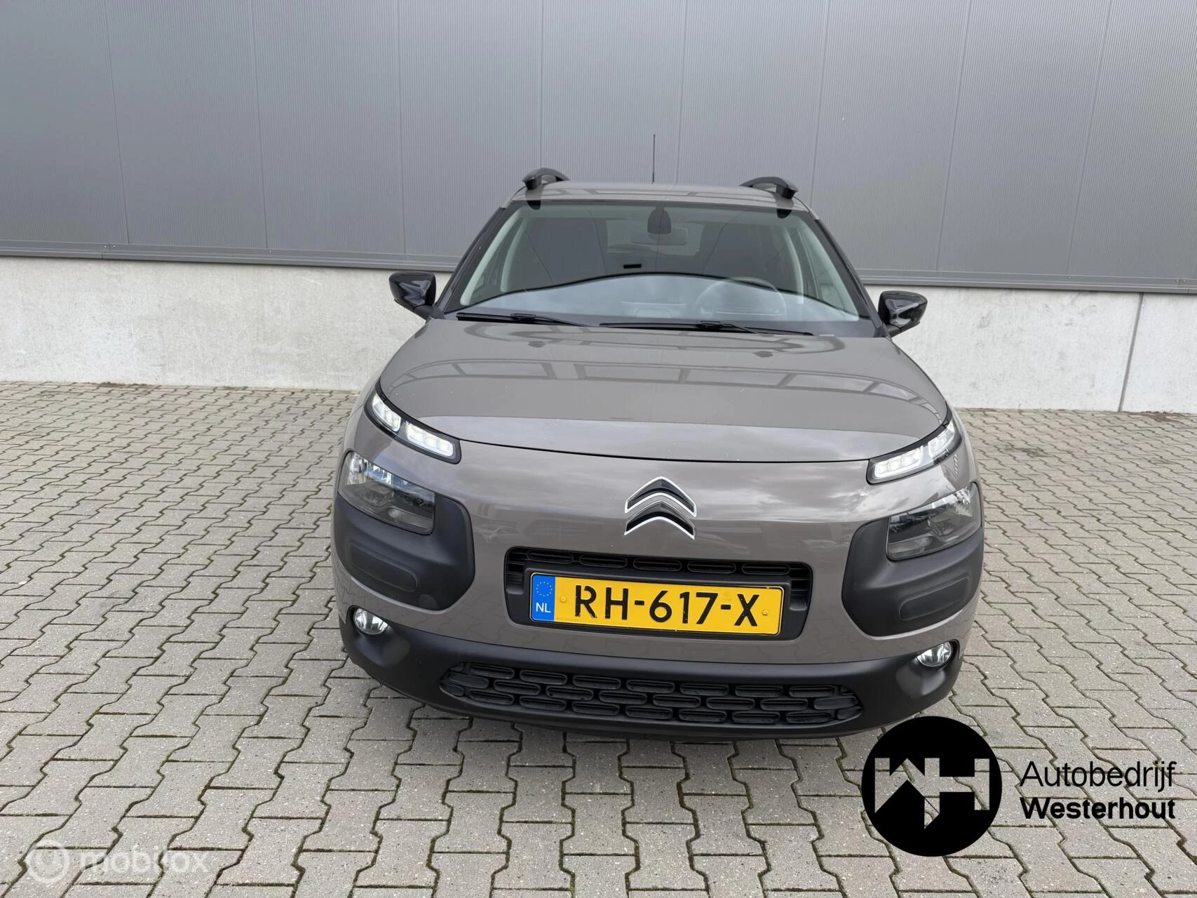 Hoofdafbeelding Citroën C4 Cactus