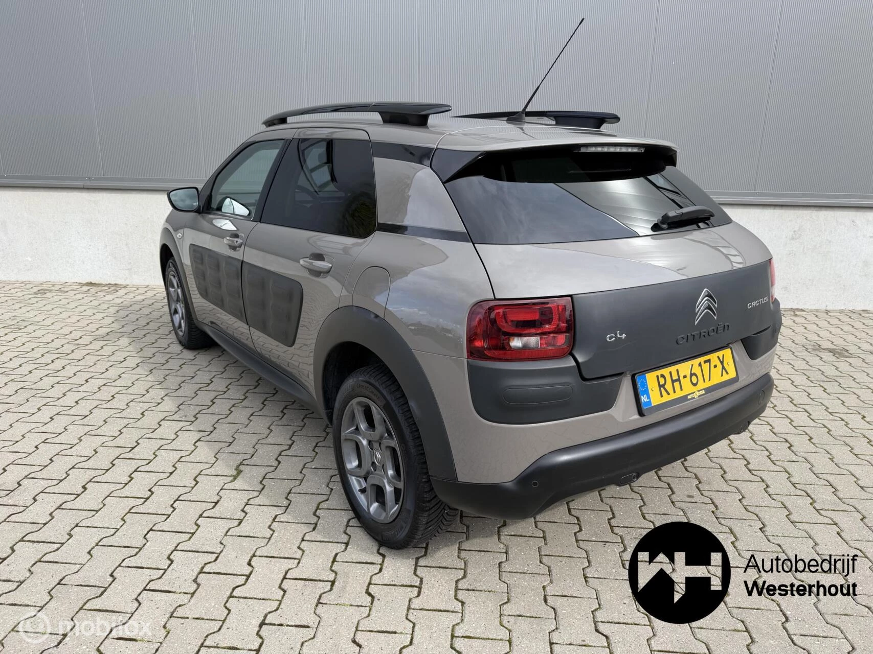 Hoofdafbeelding Citroën C4 Cactus