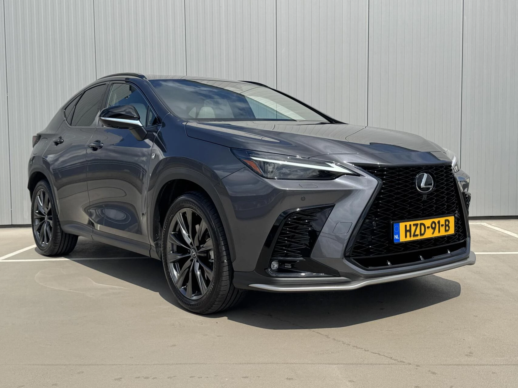 Hoofdafbeelding Lexus NX