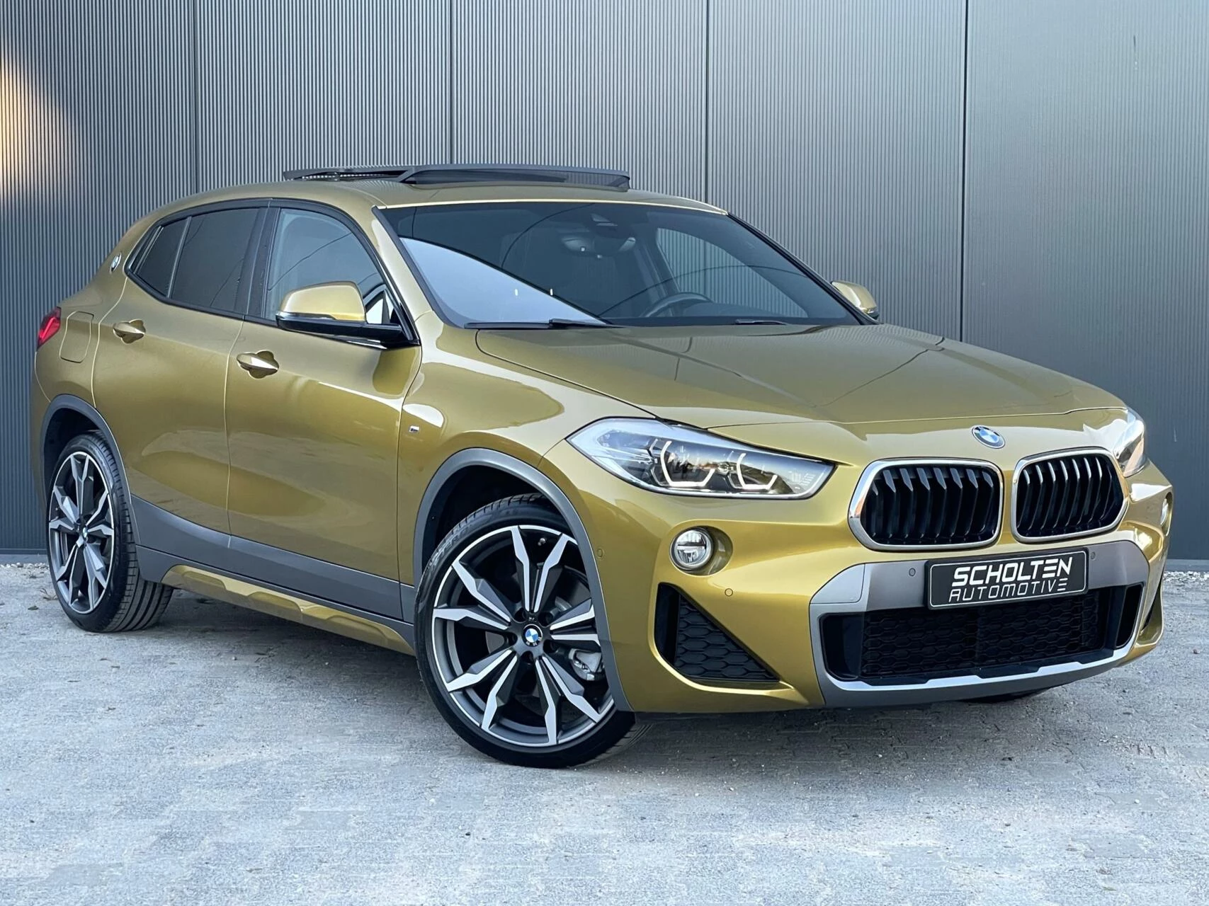 Hoofdafbeelding BMW X2