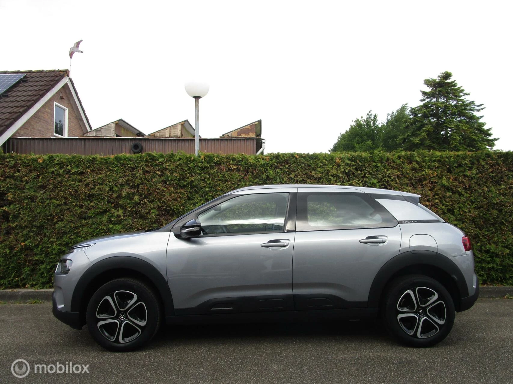 Hoofdafbeelding Citroën C4 Cactus