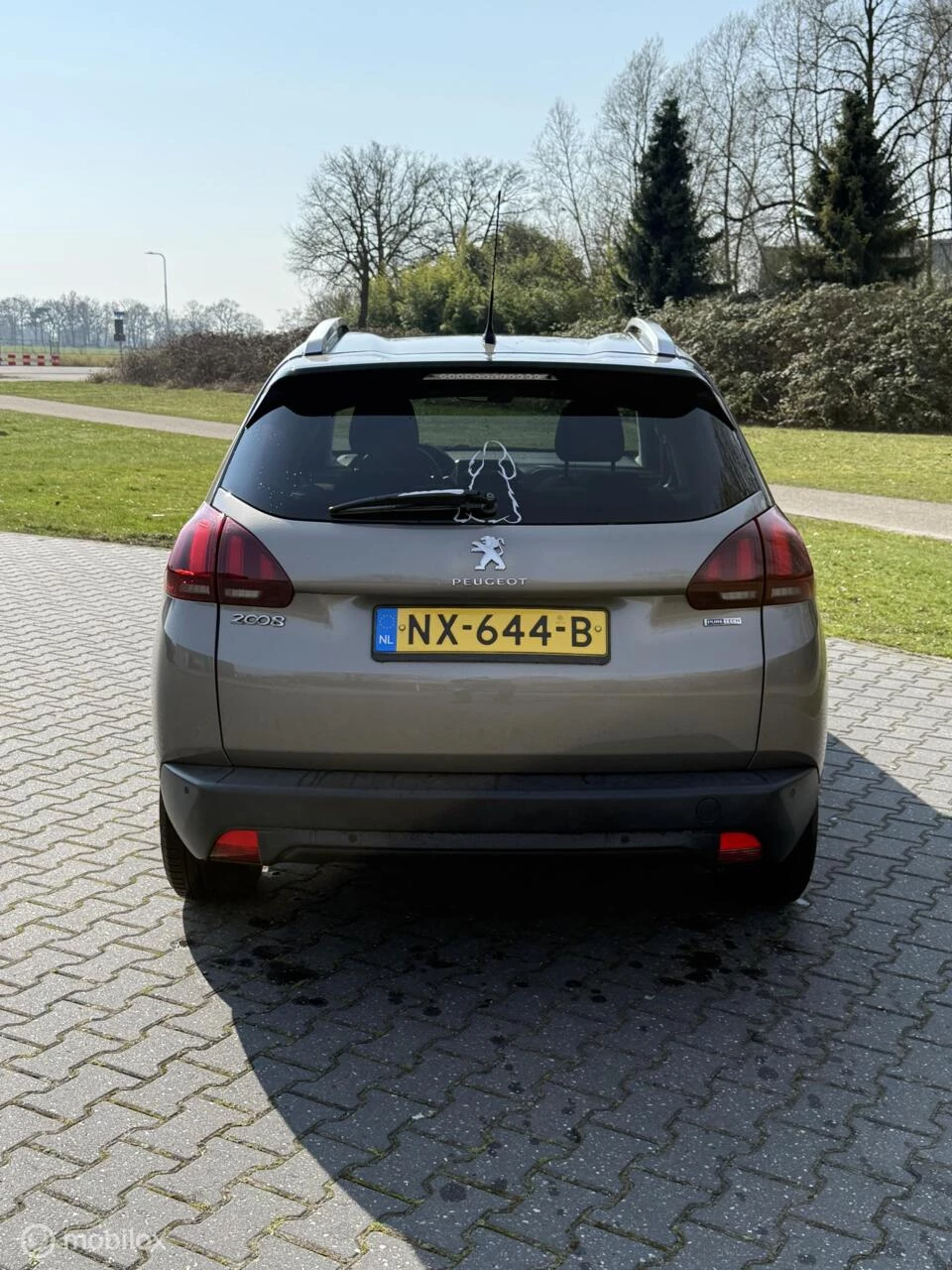 Hoofdafbeelding Peugeot 2008
