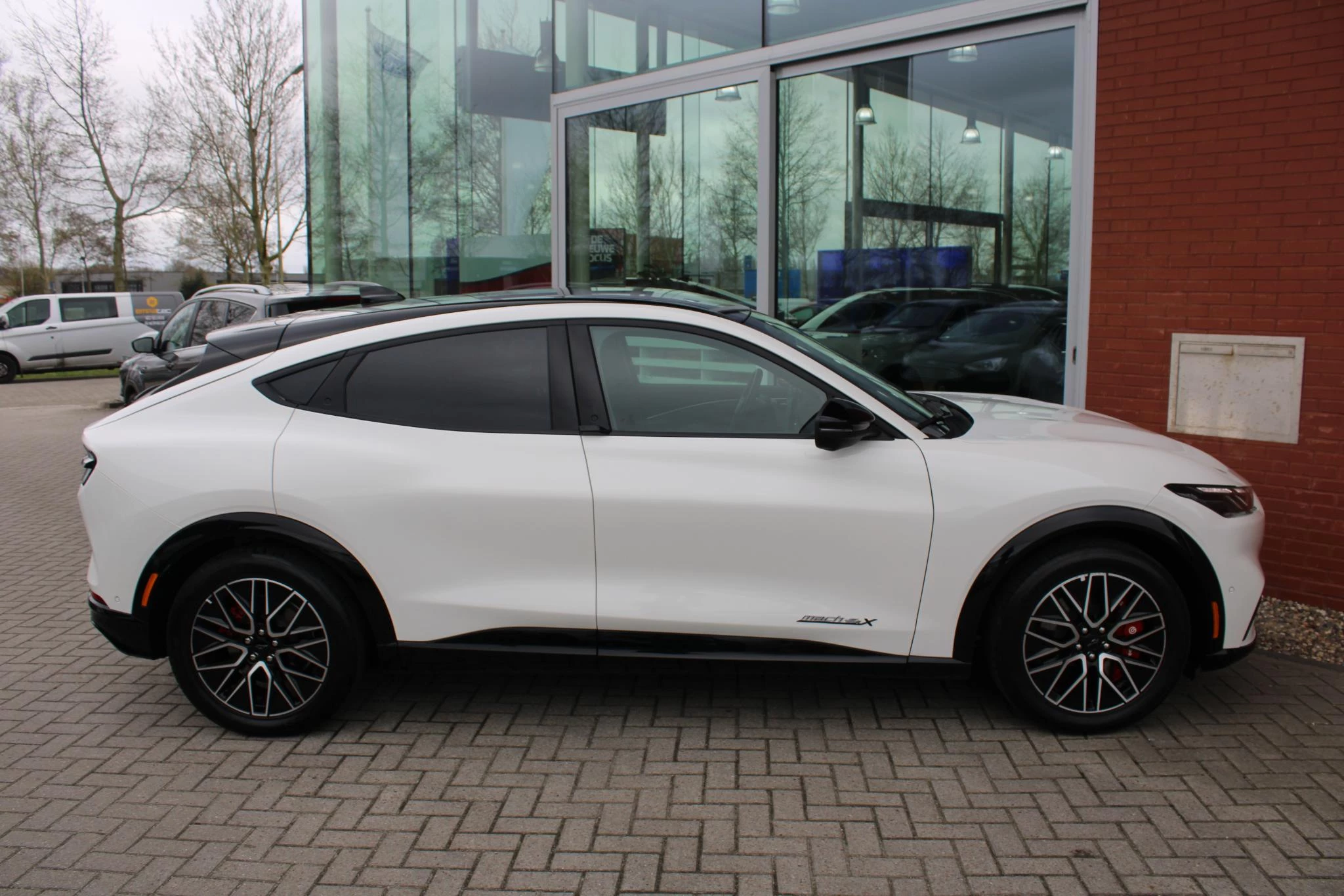 Hoofdafbeelding Ford Mustang Mach-E