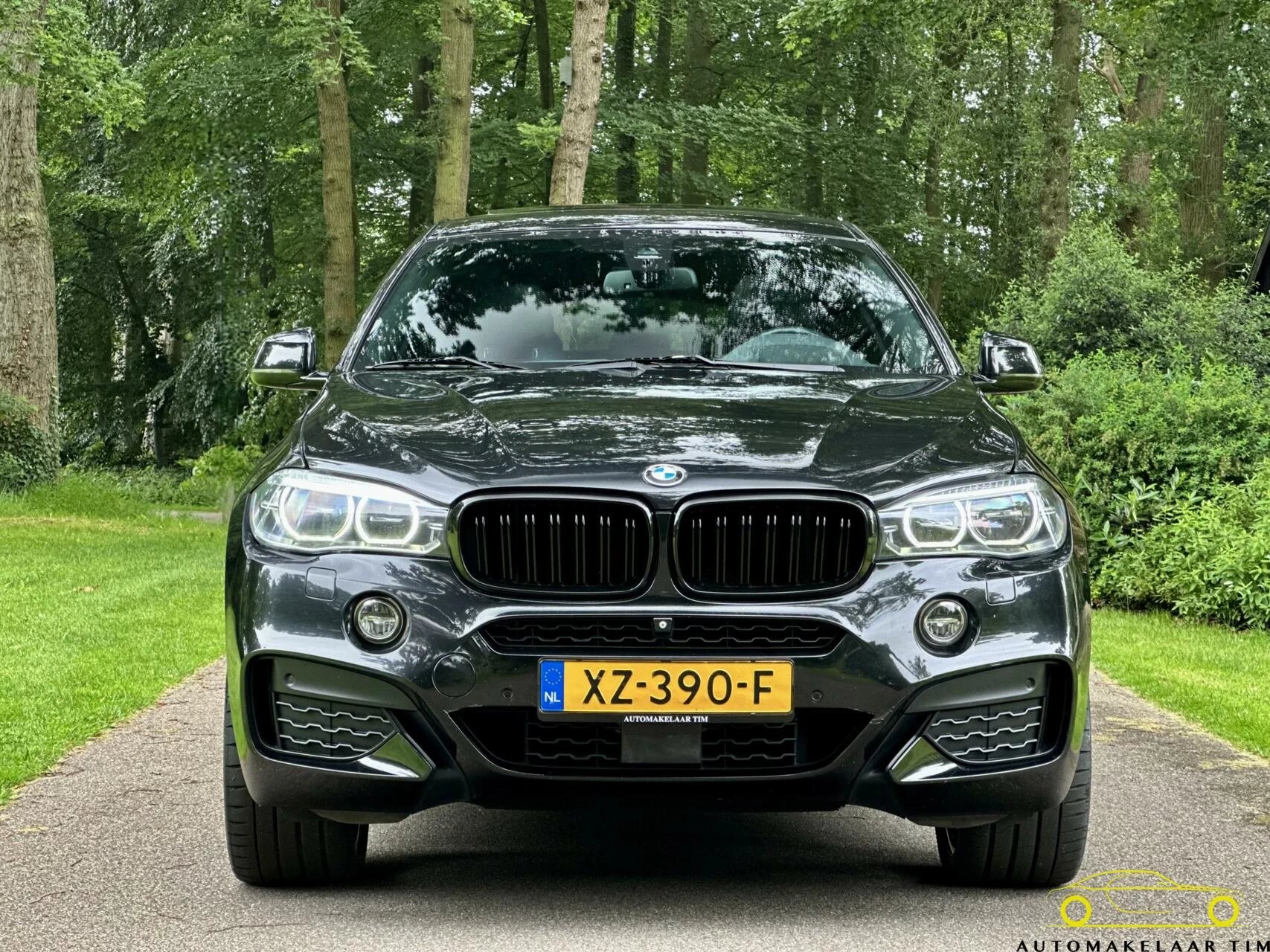 Hoofdafbeelding BMW X6