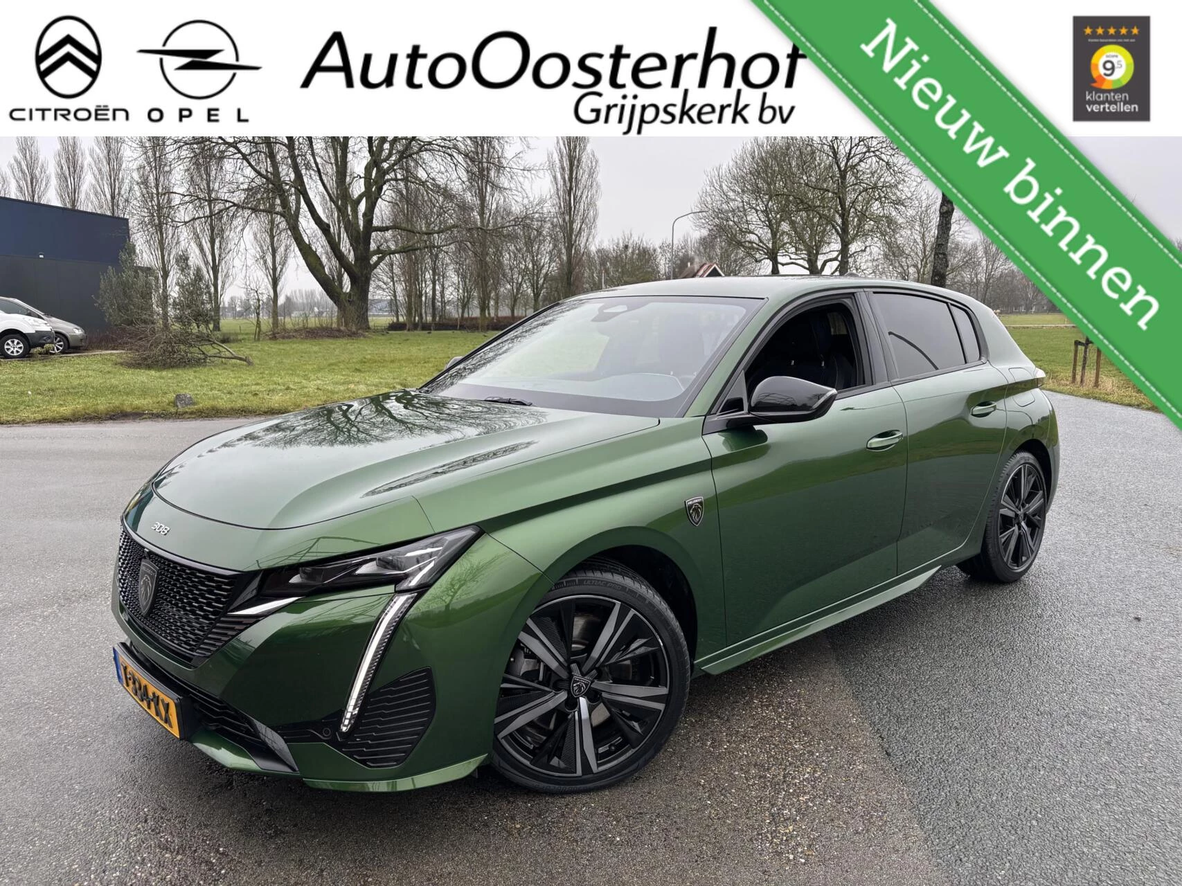 Hoofdafbeelding Peugeot 308