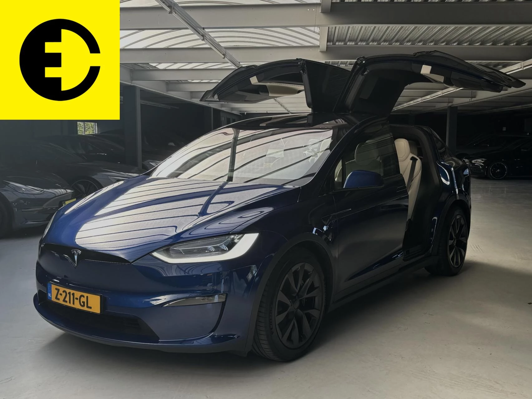 Hoofdafbeelding Tesla Model X