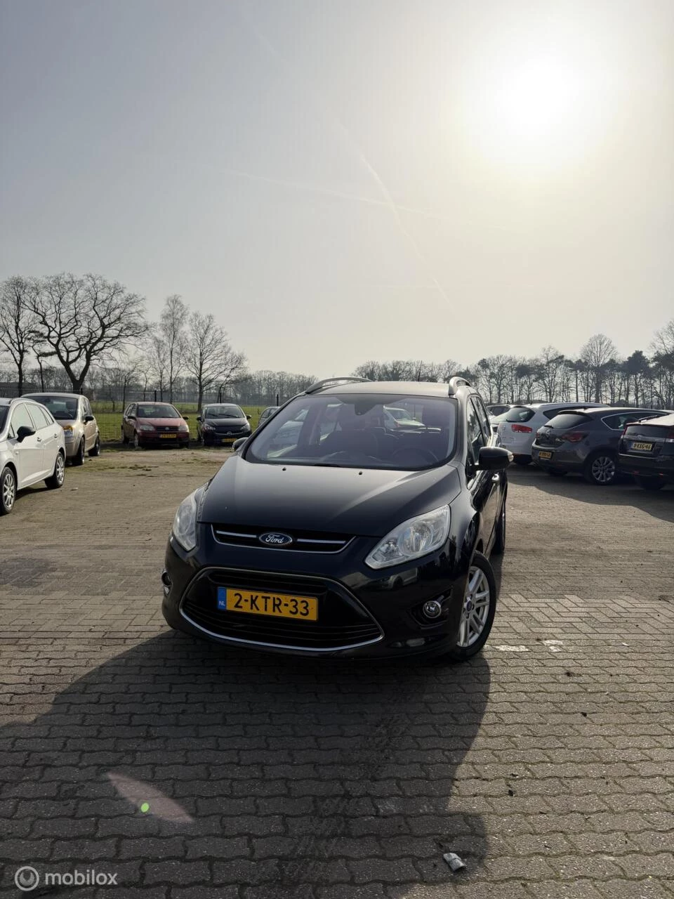 Hoofdafbeelding Ford Grand C-Max