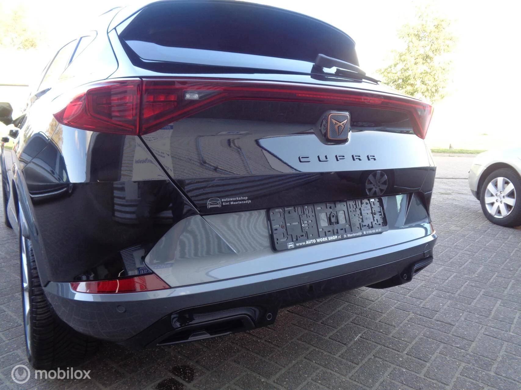 Hoofdafbeelding CUPRA Formentor
