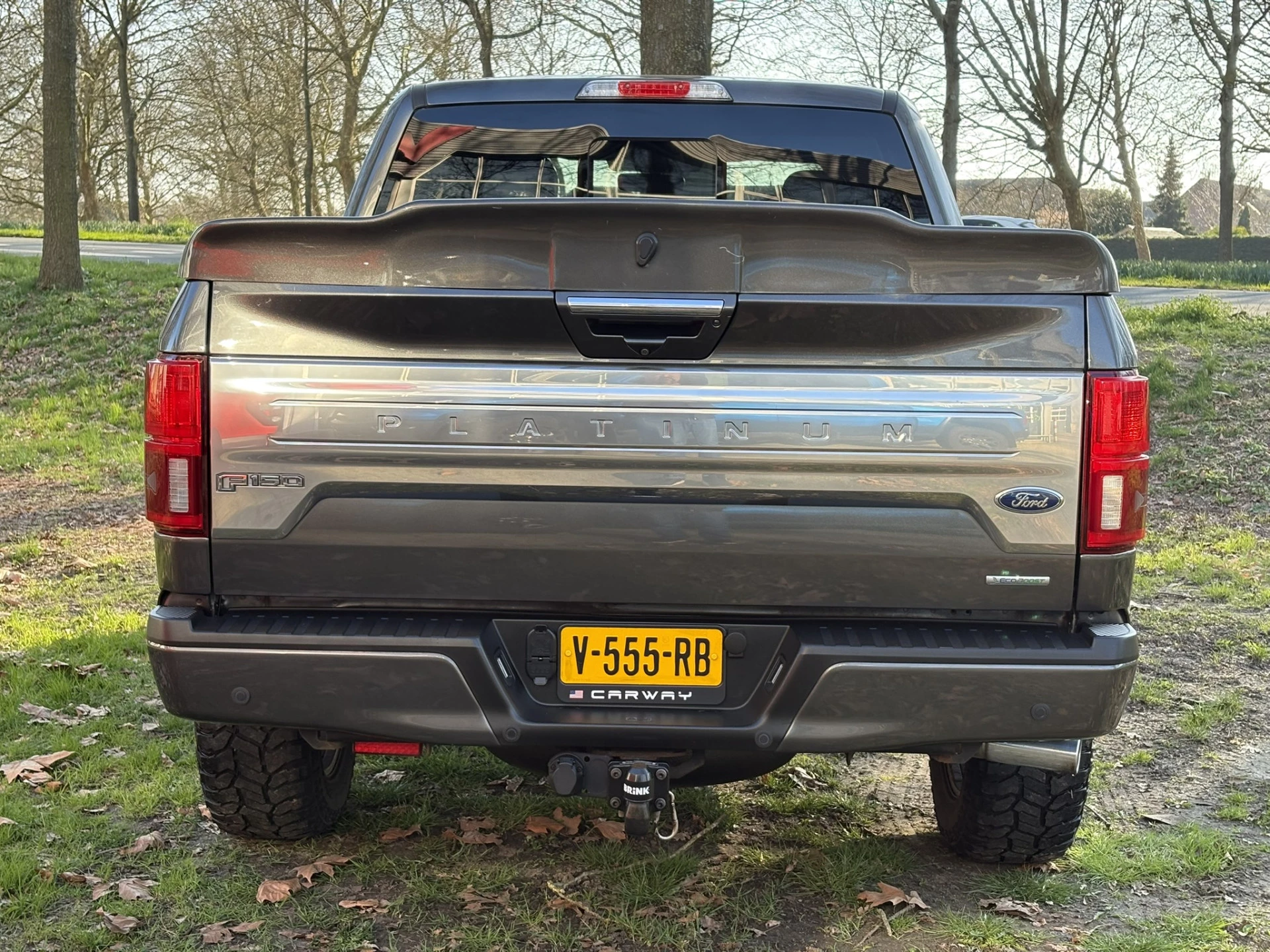 Hoofdafbeelding Ford F-150