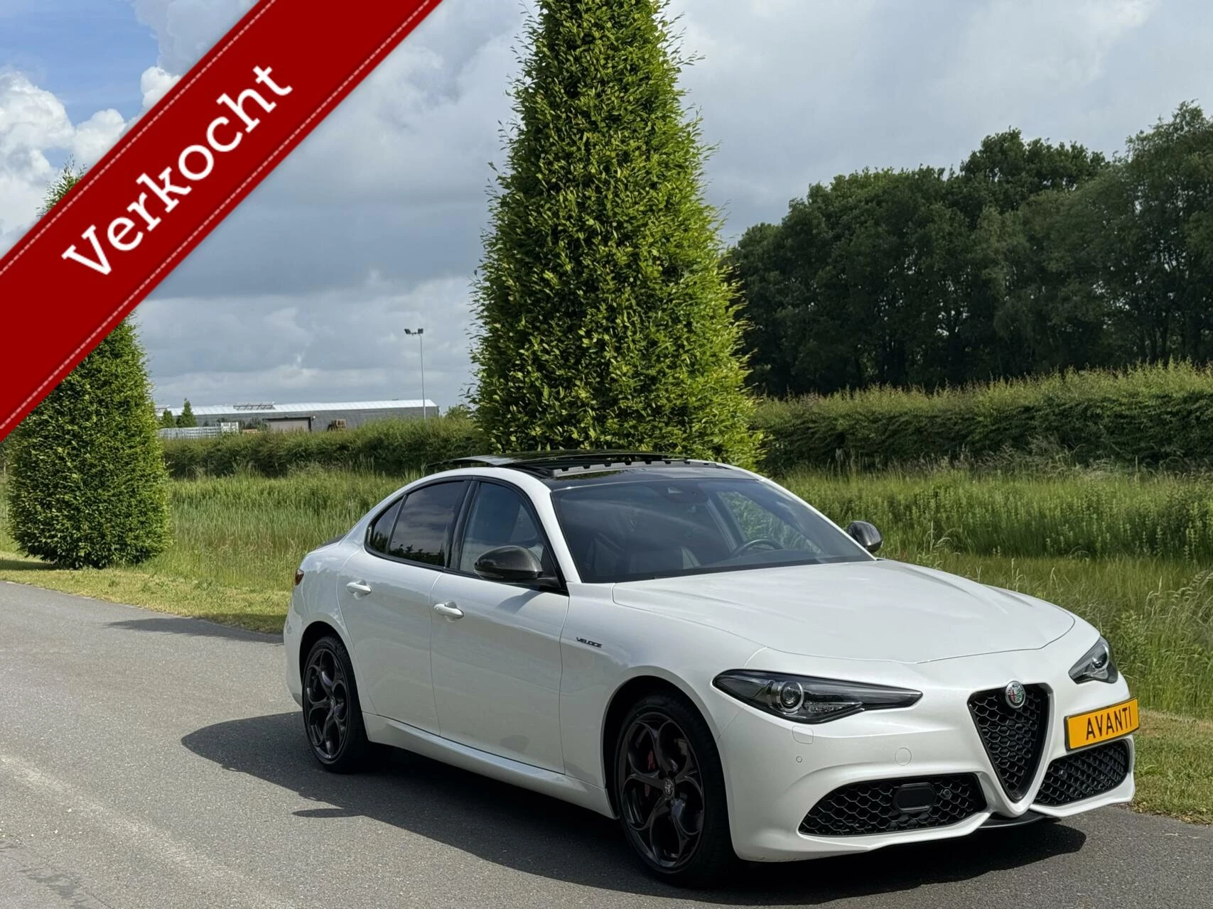 Hoofdafbeelding Alfa Romeo Giulia