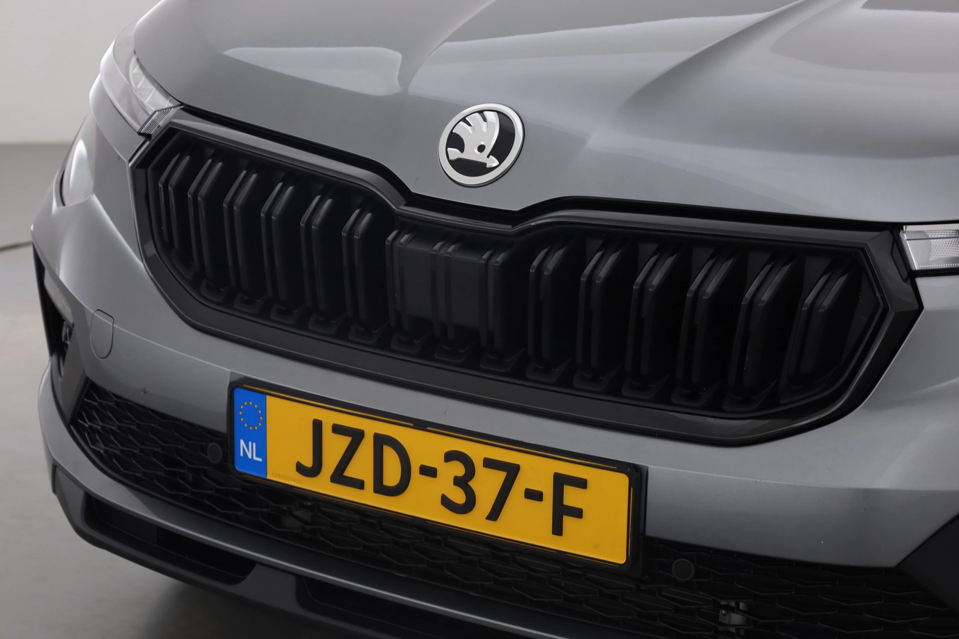 Hoofdafbeelding Škoda Kamiq