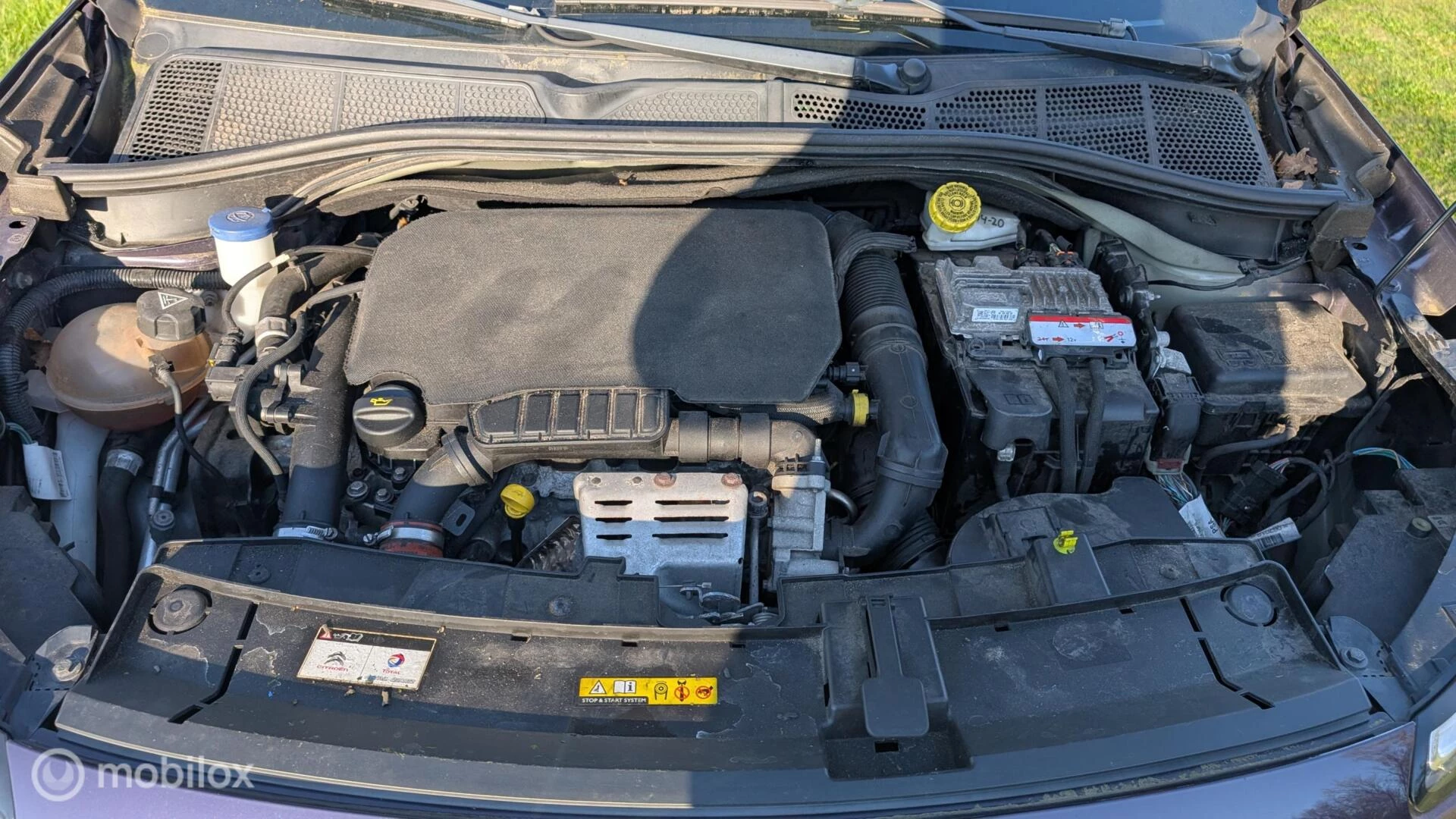 Hoofdafbeelding Citroën C4 Cactus