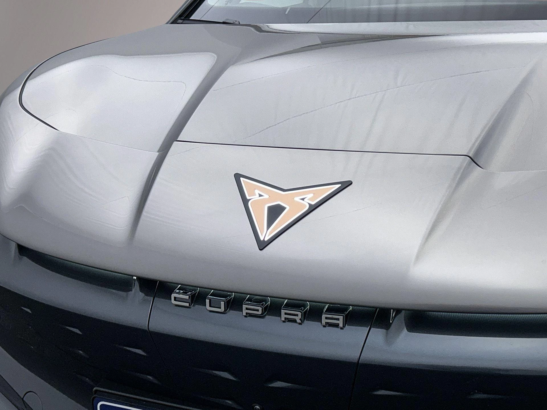 Hoofdafbeelding CUPRA Tavascan