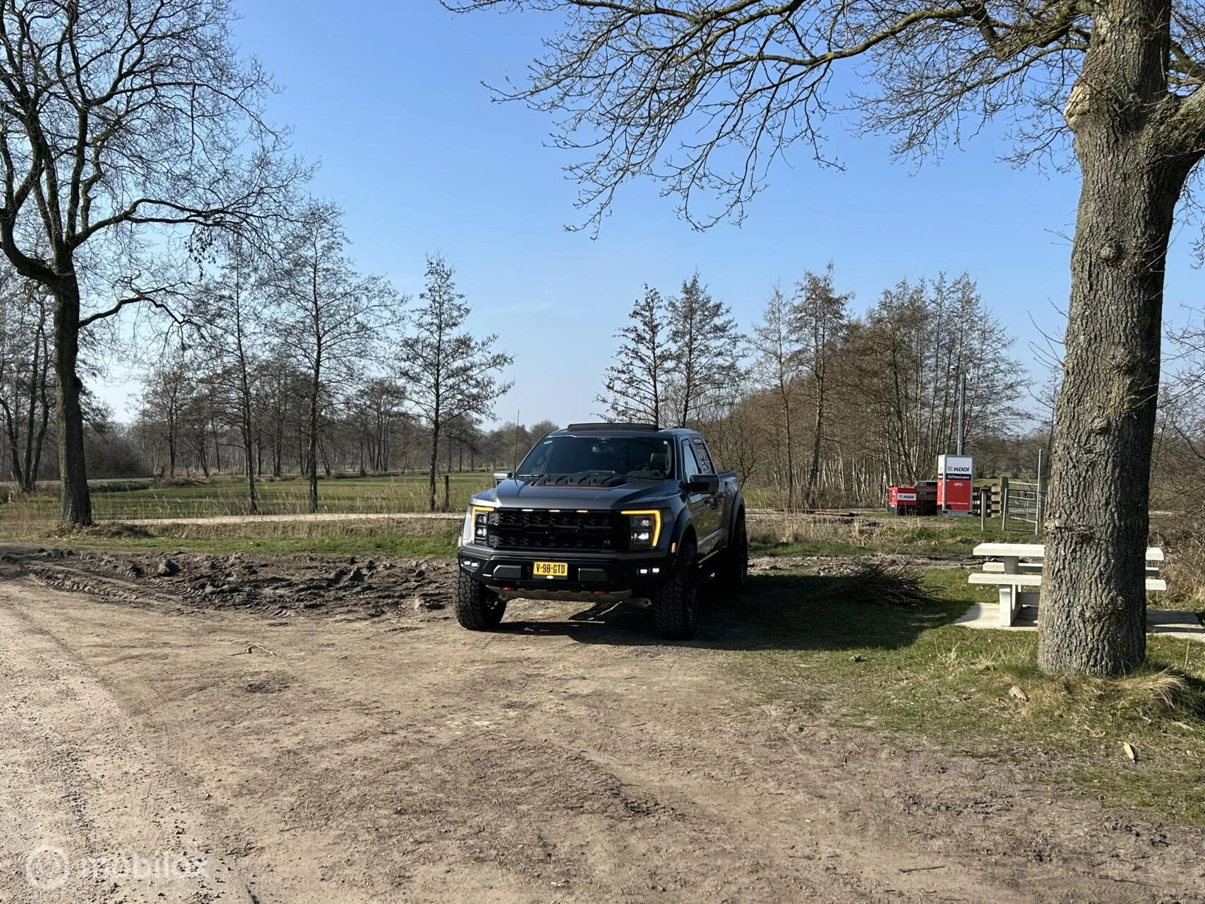 Hoofdafbeelding Ford F-150