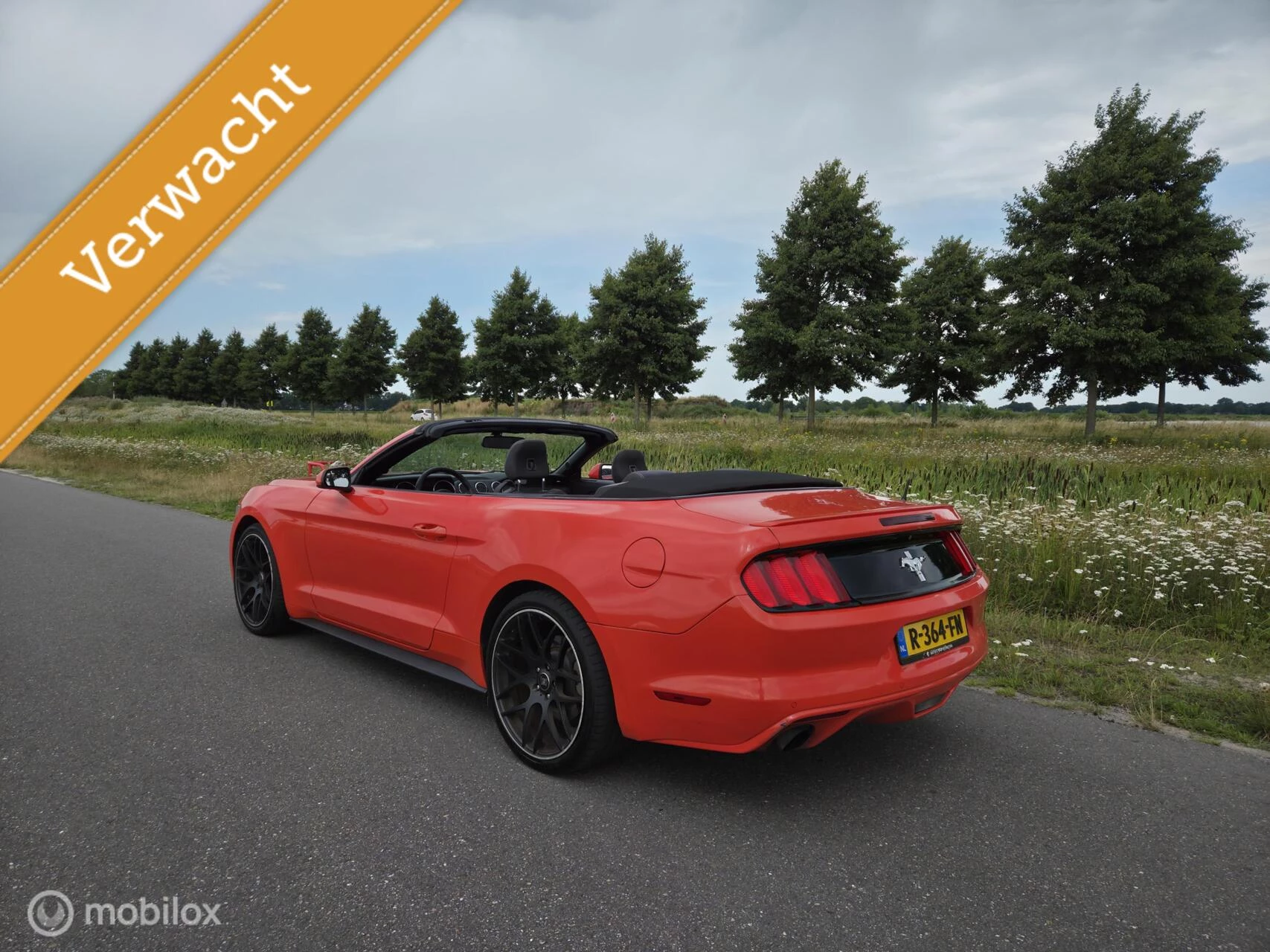 Hoofdafbeelding Ford Mustang
