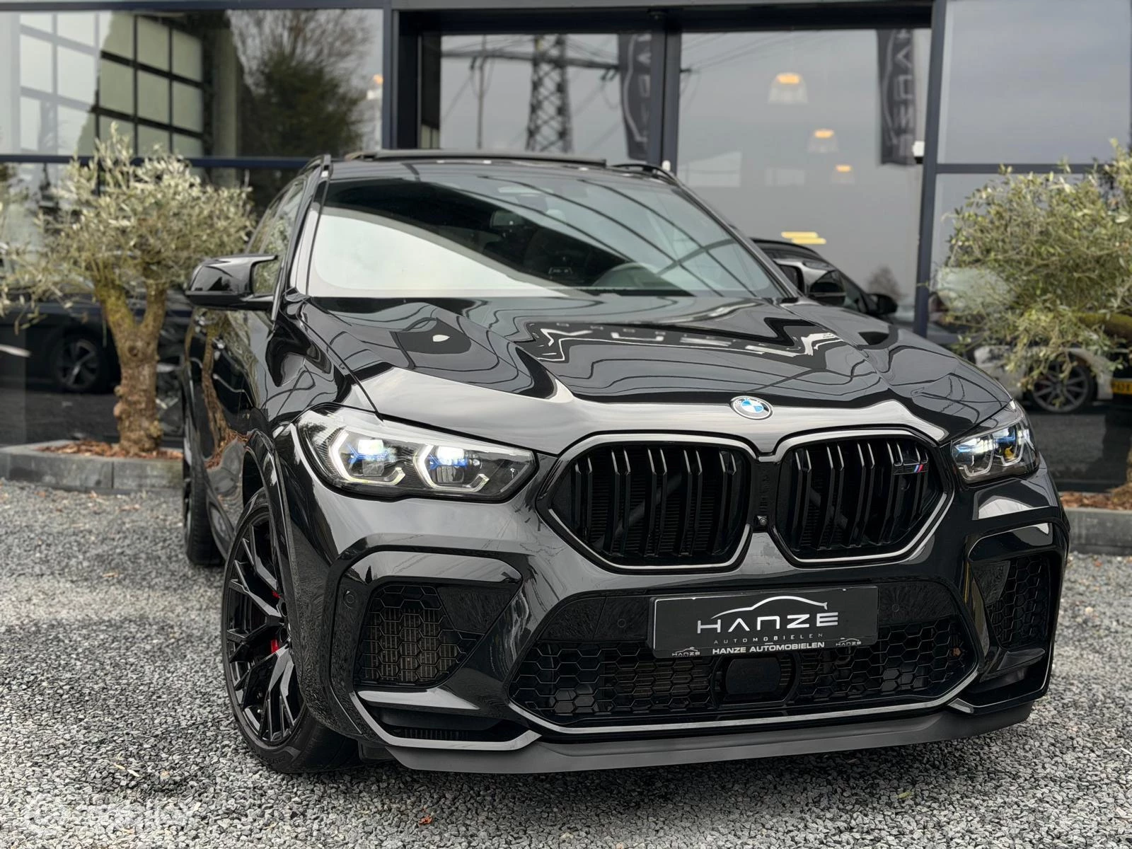 Hoofdafbeelding BMW X6
