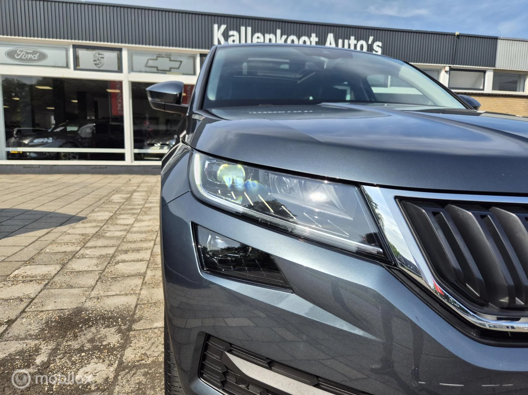 Hoofdafbeelding Škoda Kodiaq