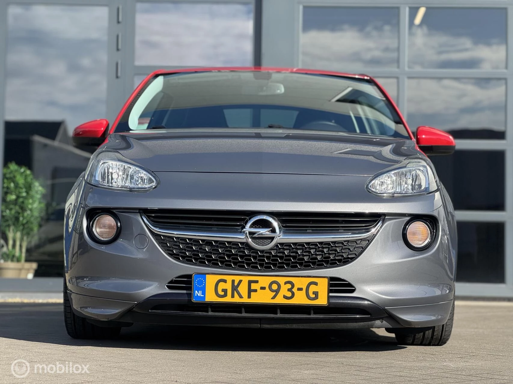Hoofdafbeelding Opel ADAM