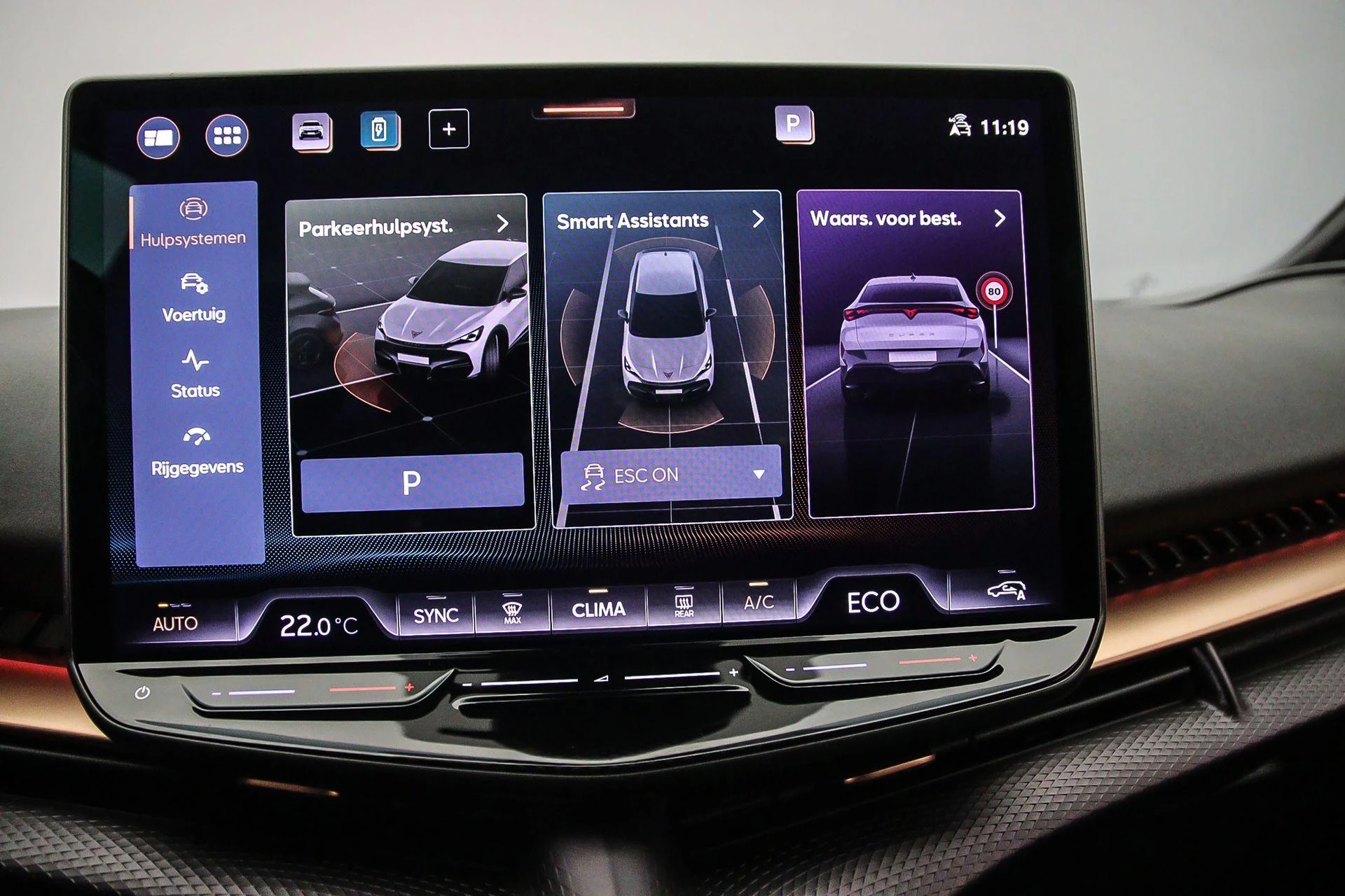 Hoofdafbeelding CUPRA Tavascan