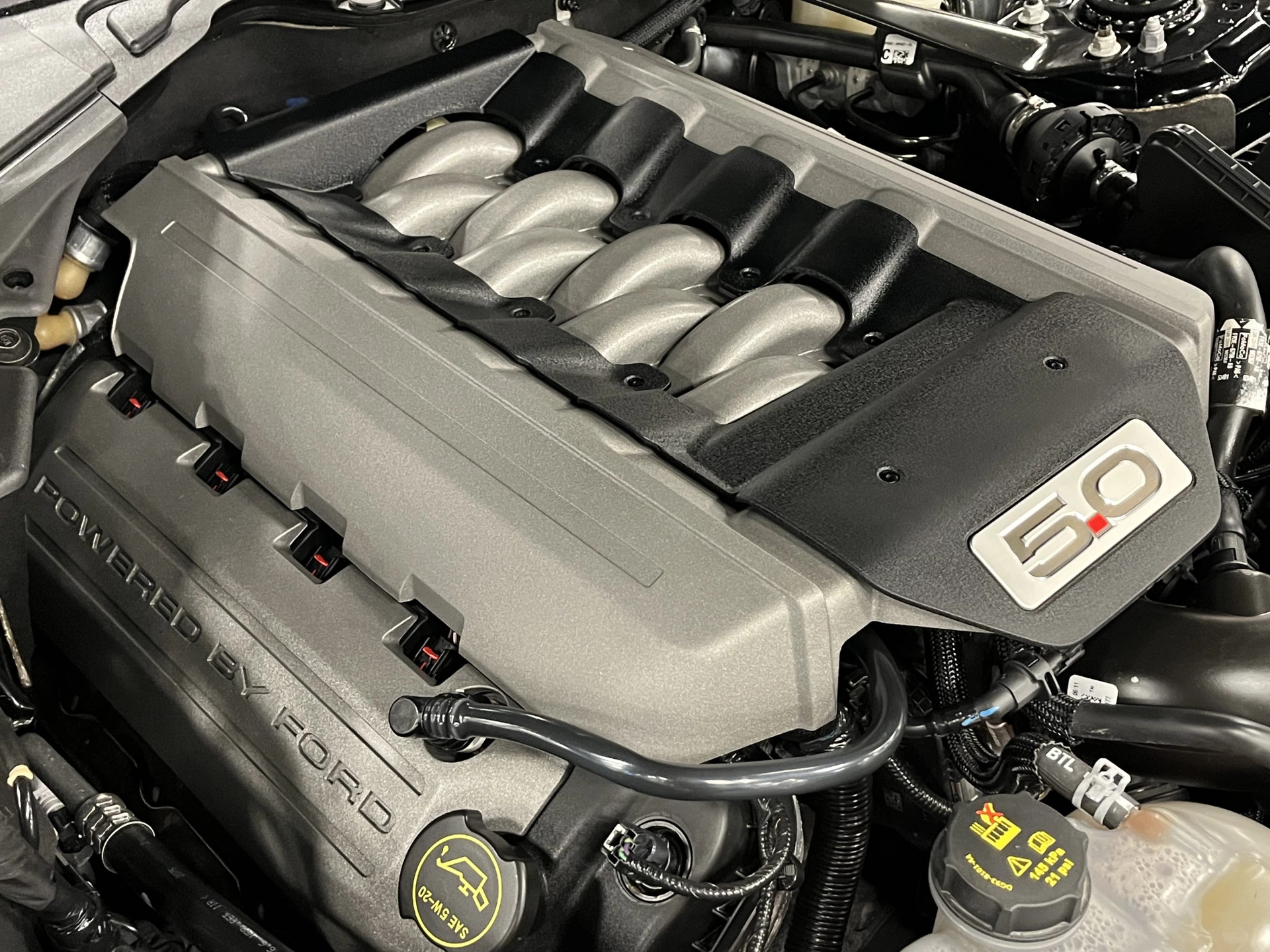 Hoofdafbeelding Ford Mustang