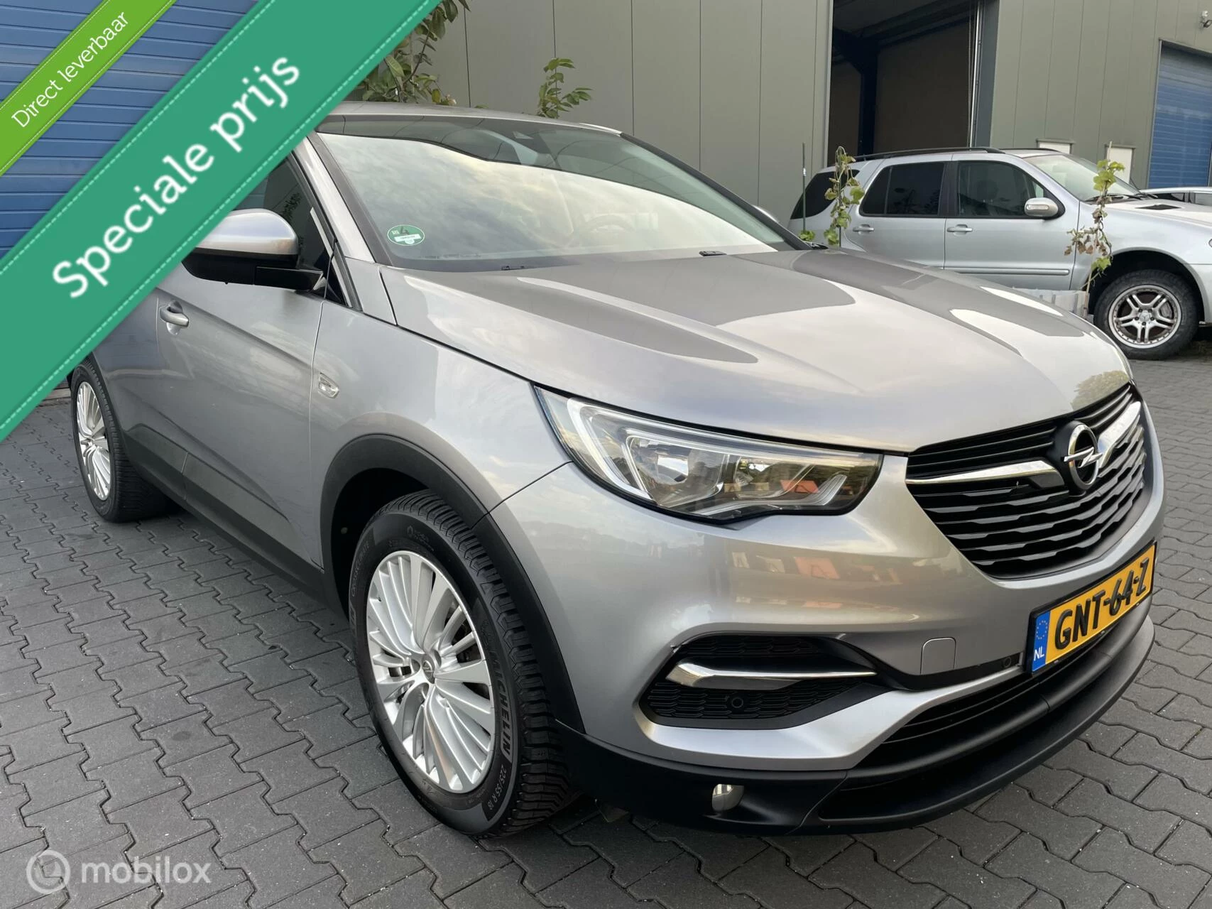 Hoofdafbeelding Opel Grandland X