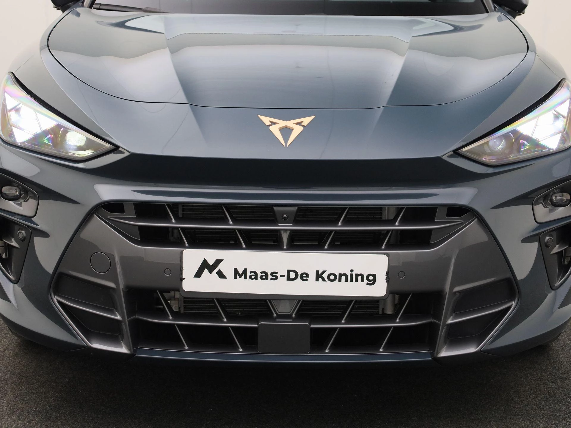 Hoofdafbeelding CUPRA Terramar