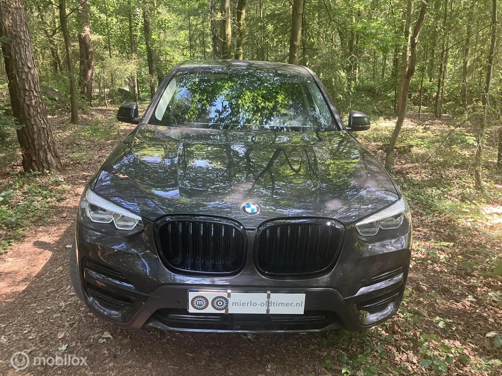 Hoofdafbeelding BMW X3